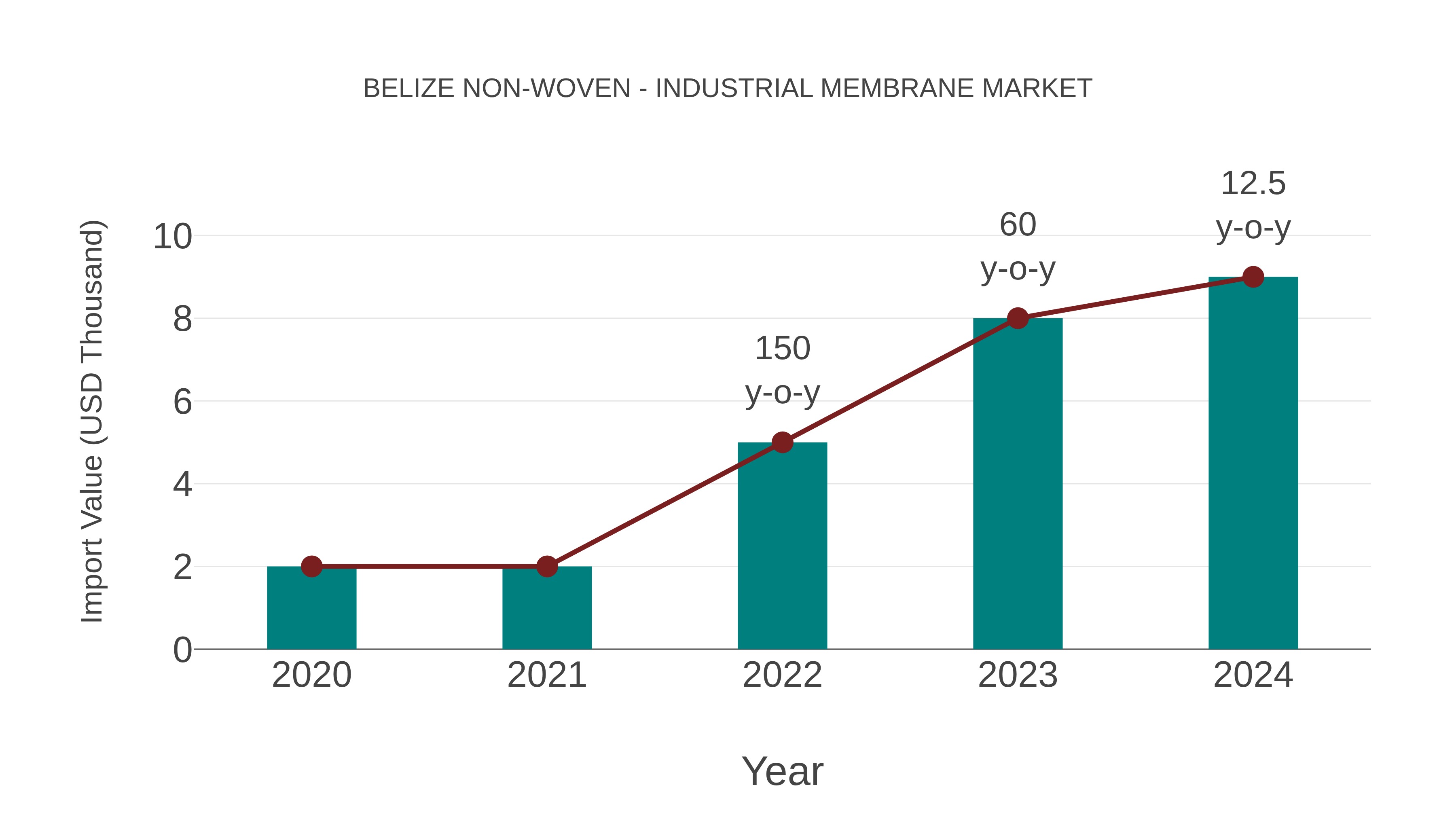 Belize Non-woven - Industrial Membrane Market: Import Trend Analysis