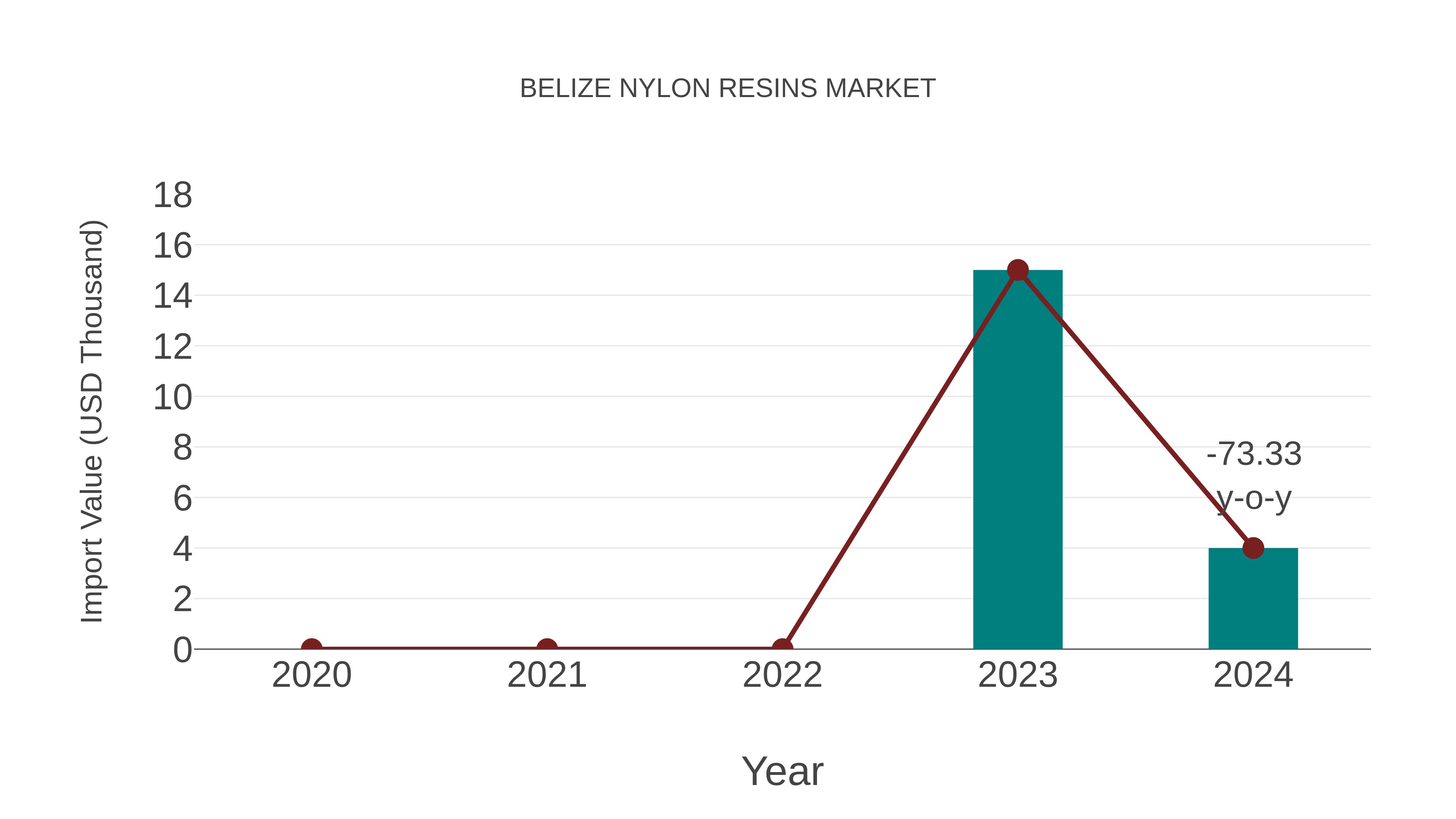  Belize Nylon Resins Market: Import Trend Analysis
