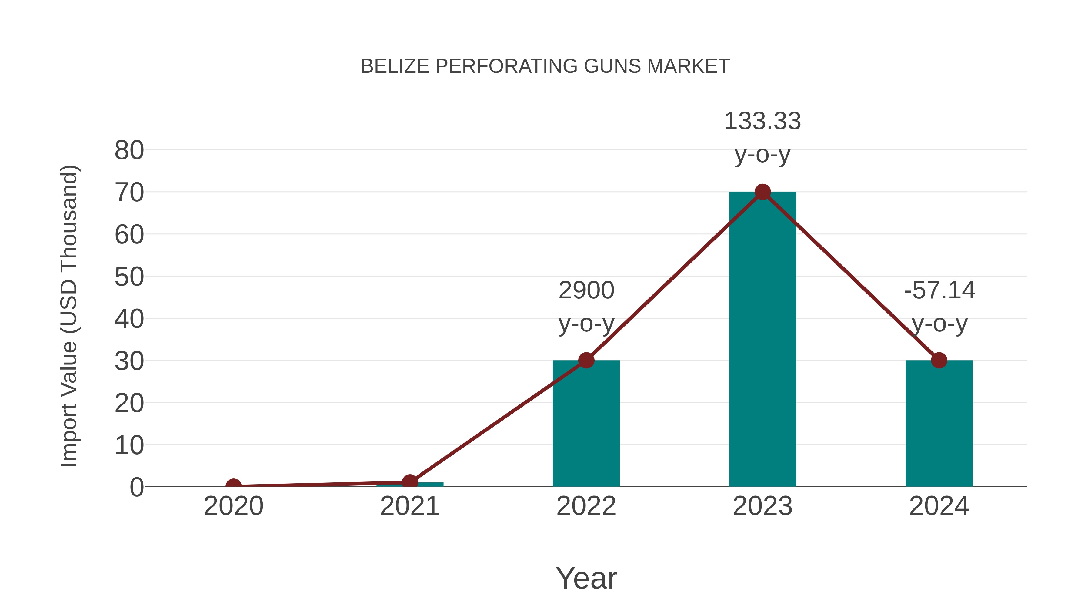 Belize Perforating Guns Market: Import Trend Analysis