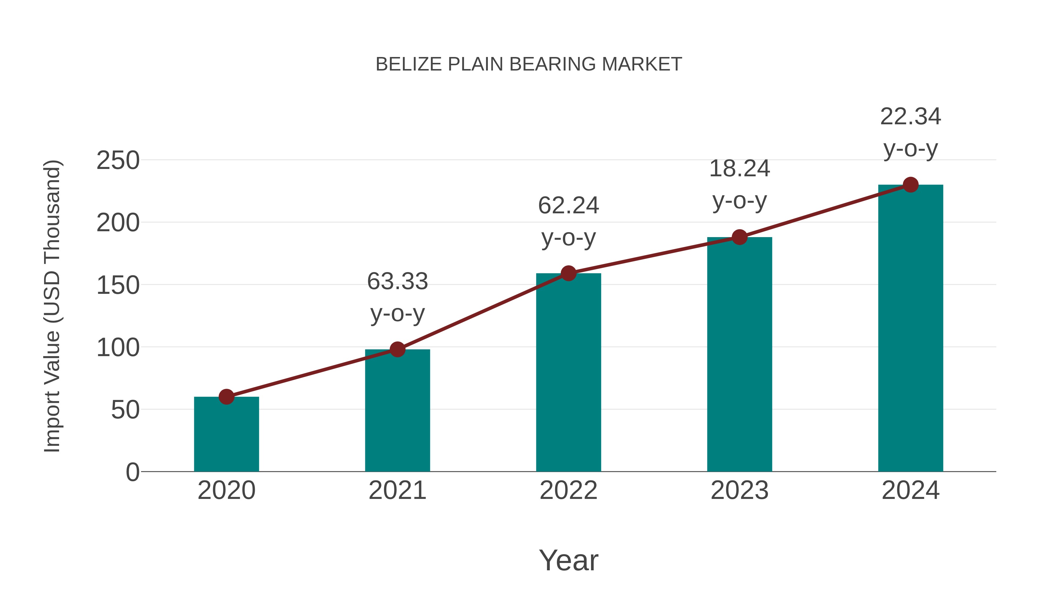 Belize Plain Bearing Market: Import Trend Analysis