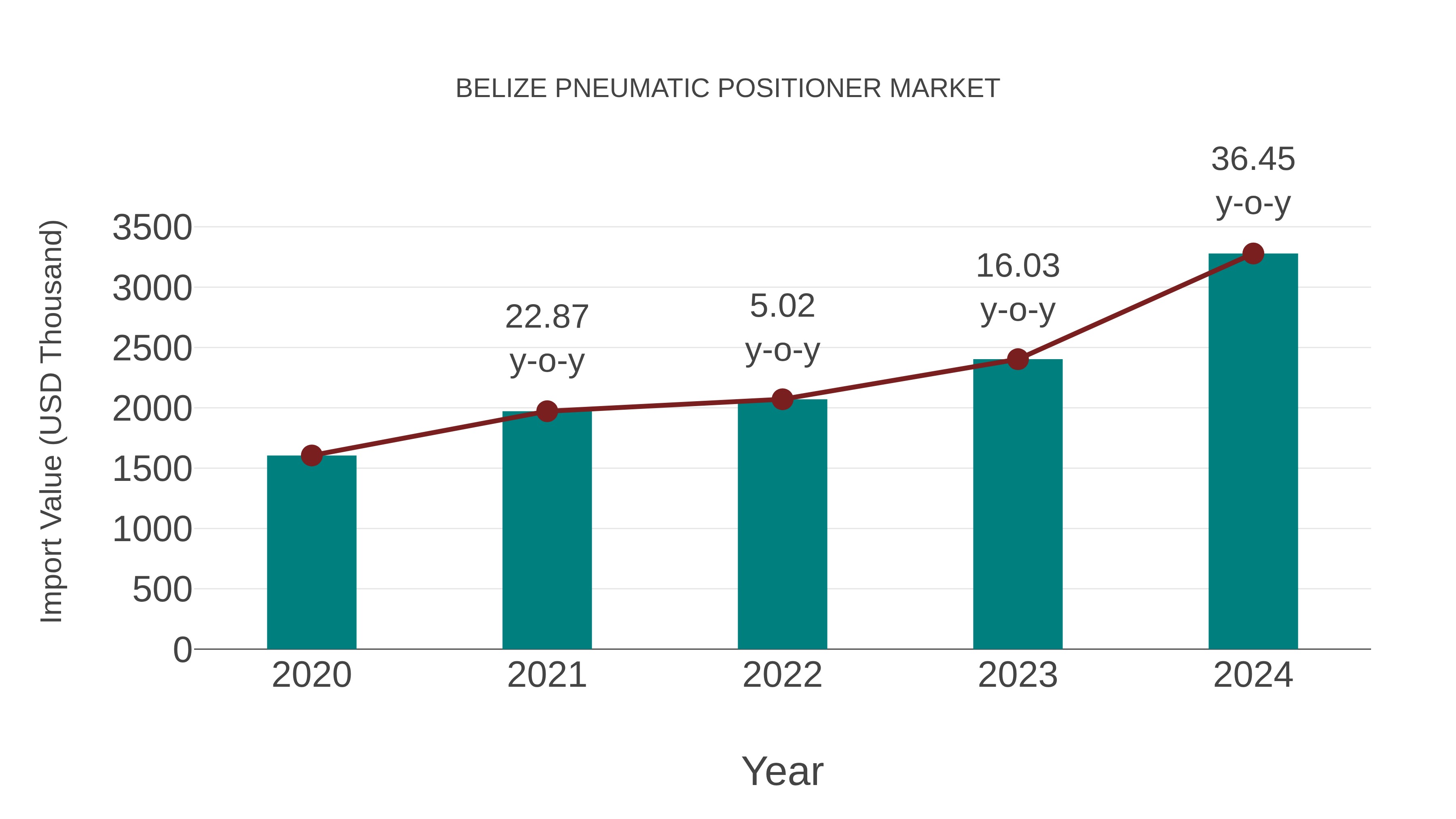  Belize Pneumatic Positioner Market: Import Trend Analysis
