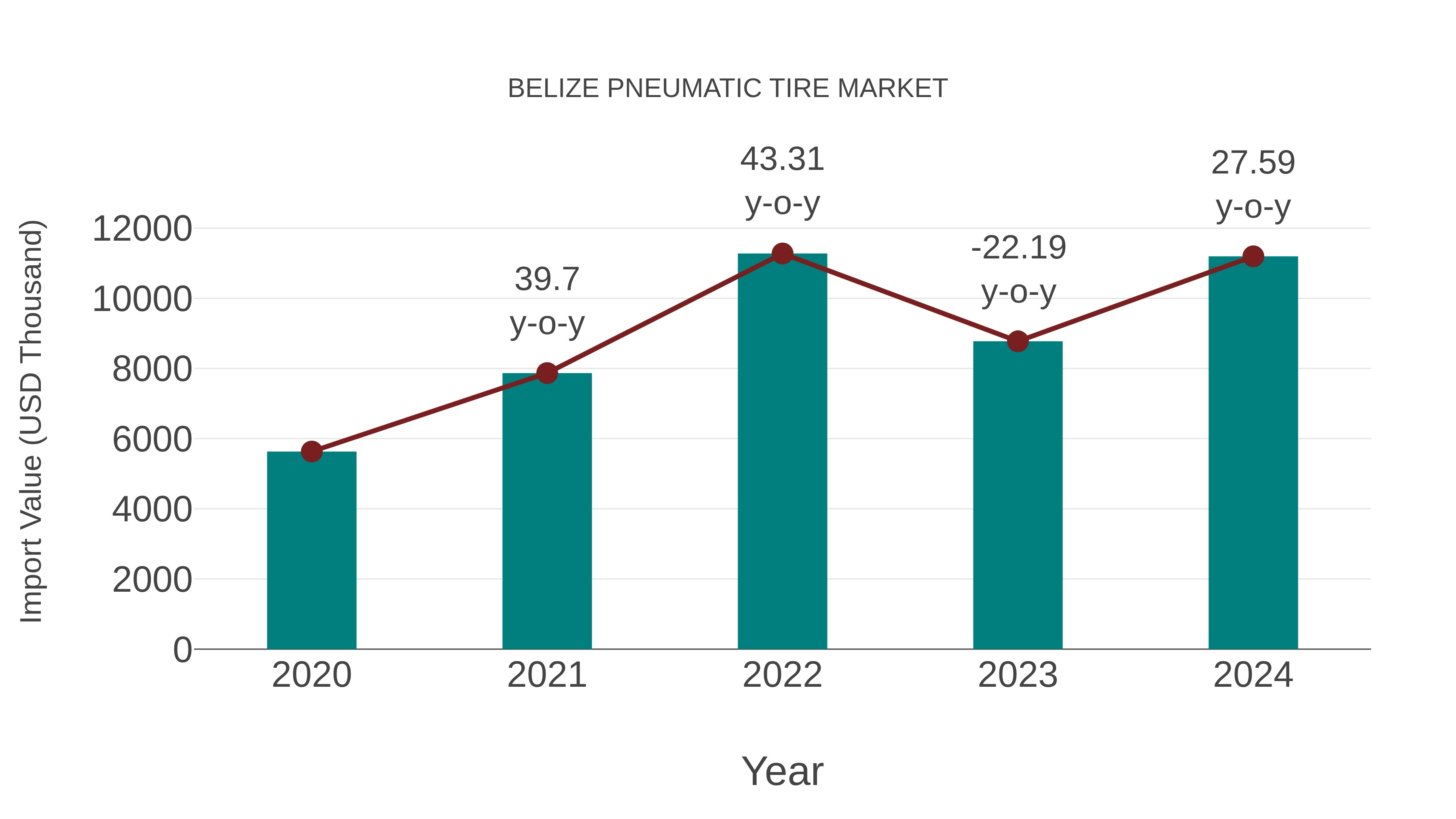 Belize Pneumatic Tire Market: Import Trend Analysis