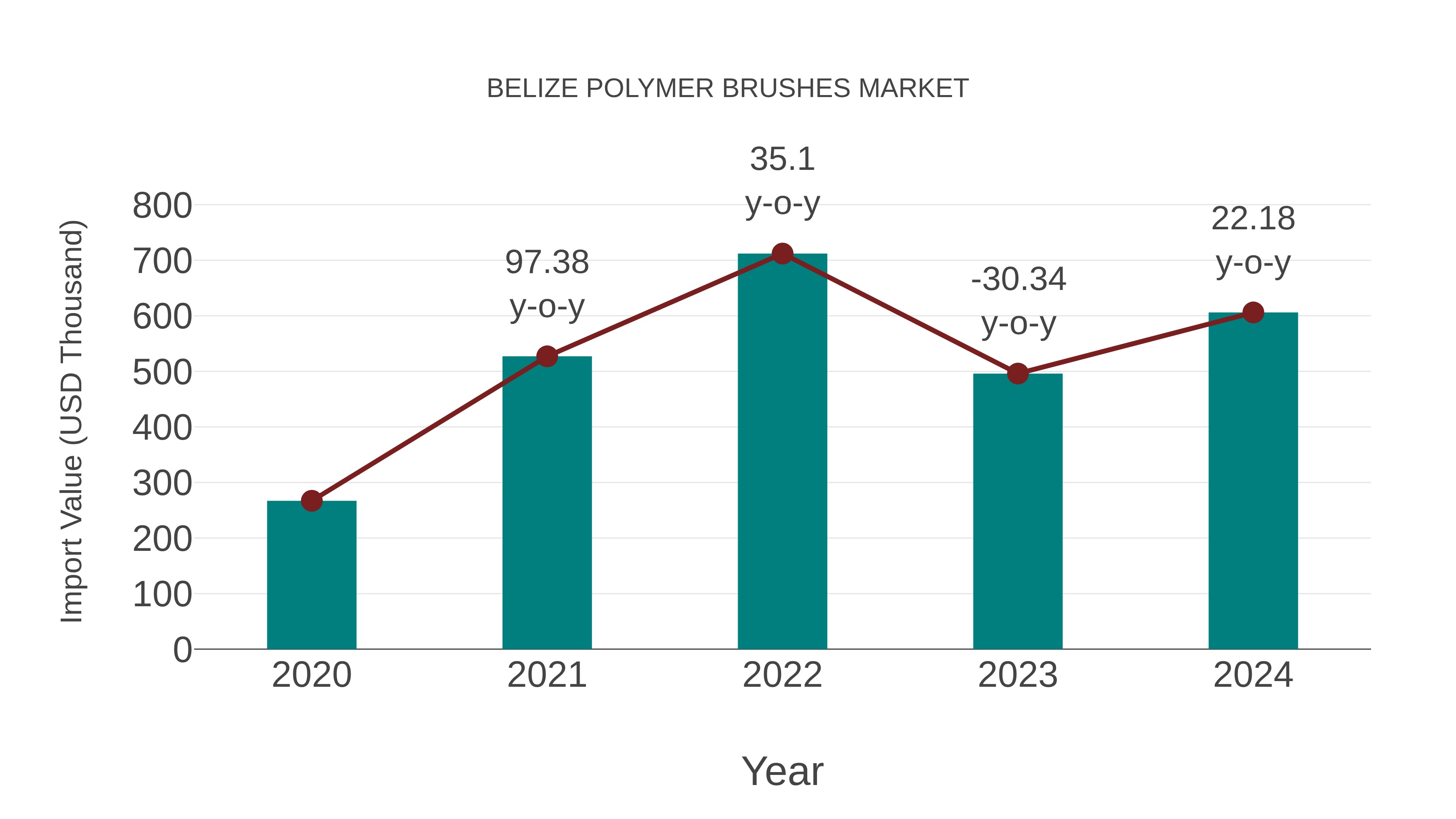  Belize Polymer Brushes Market: Import Trend Analysis