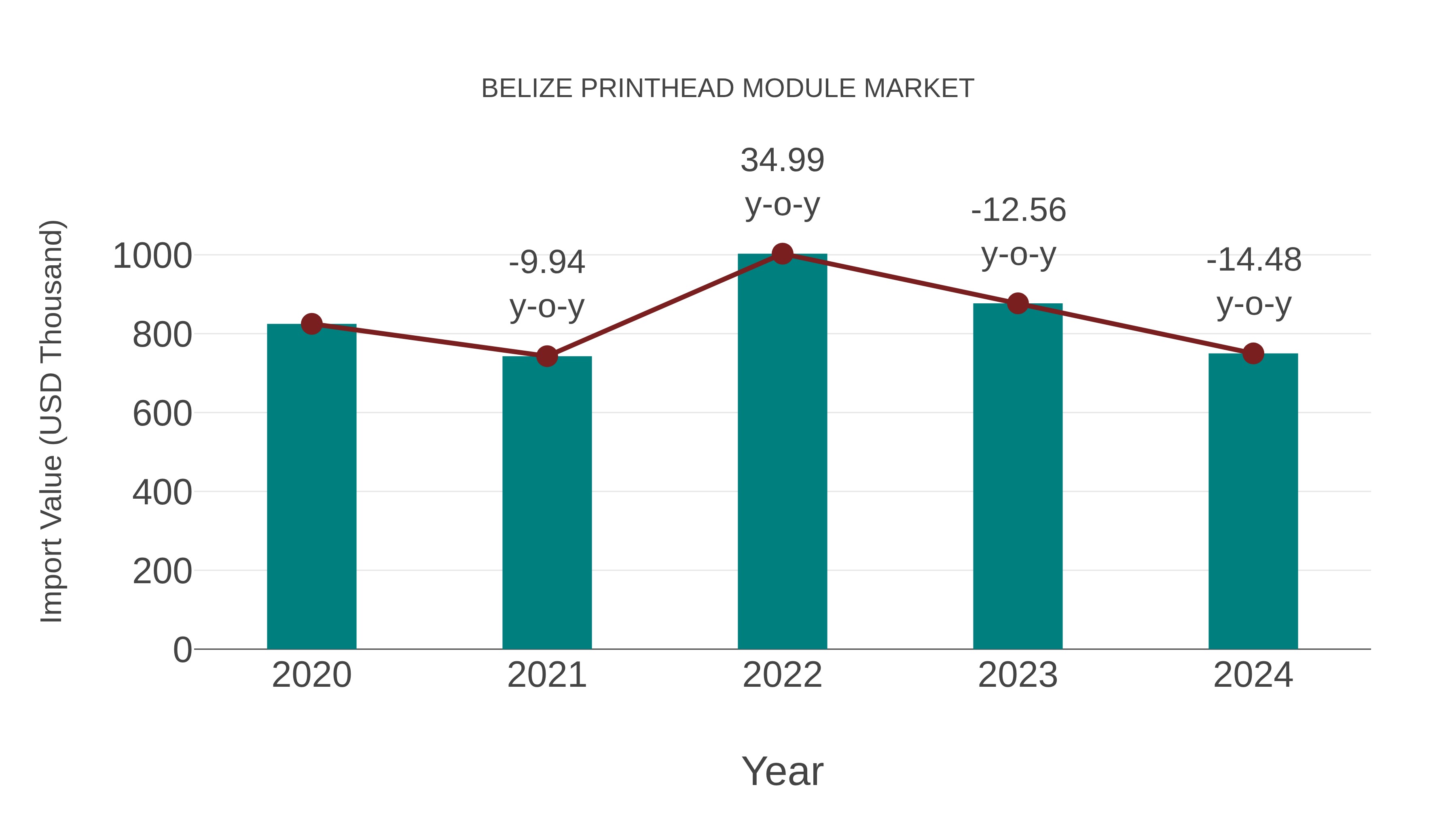  Belize Printhead Module Market: Import Trend Analysis