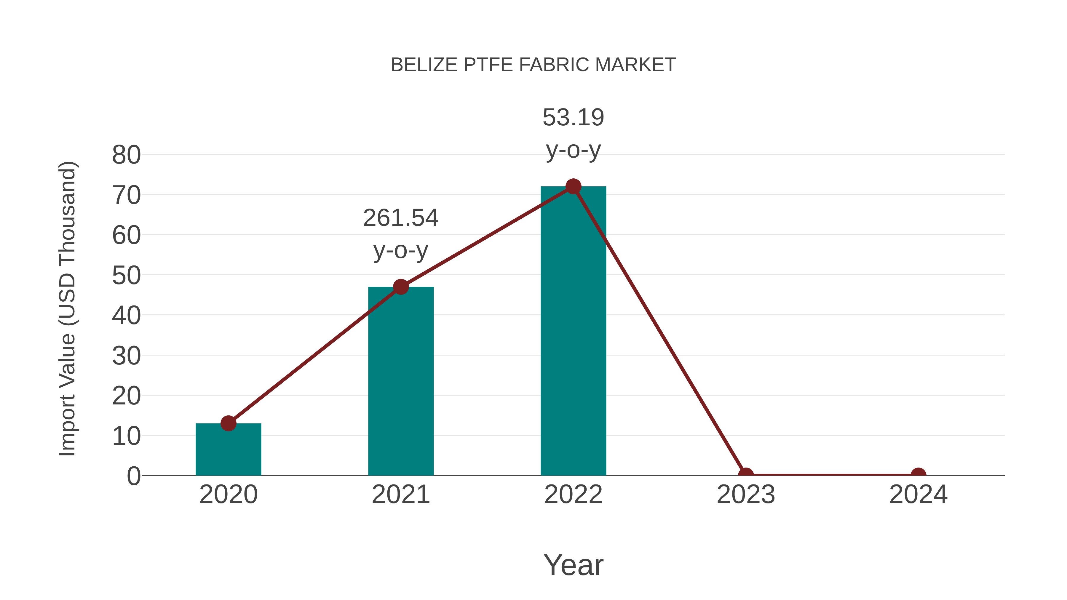  Belize Ptfe Fabric Market: Import Trend Analysis