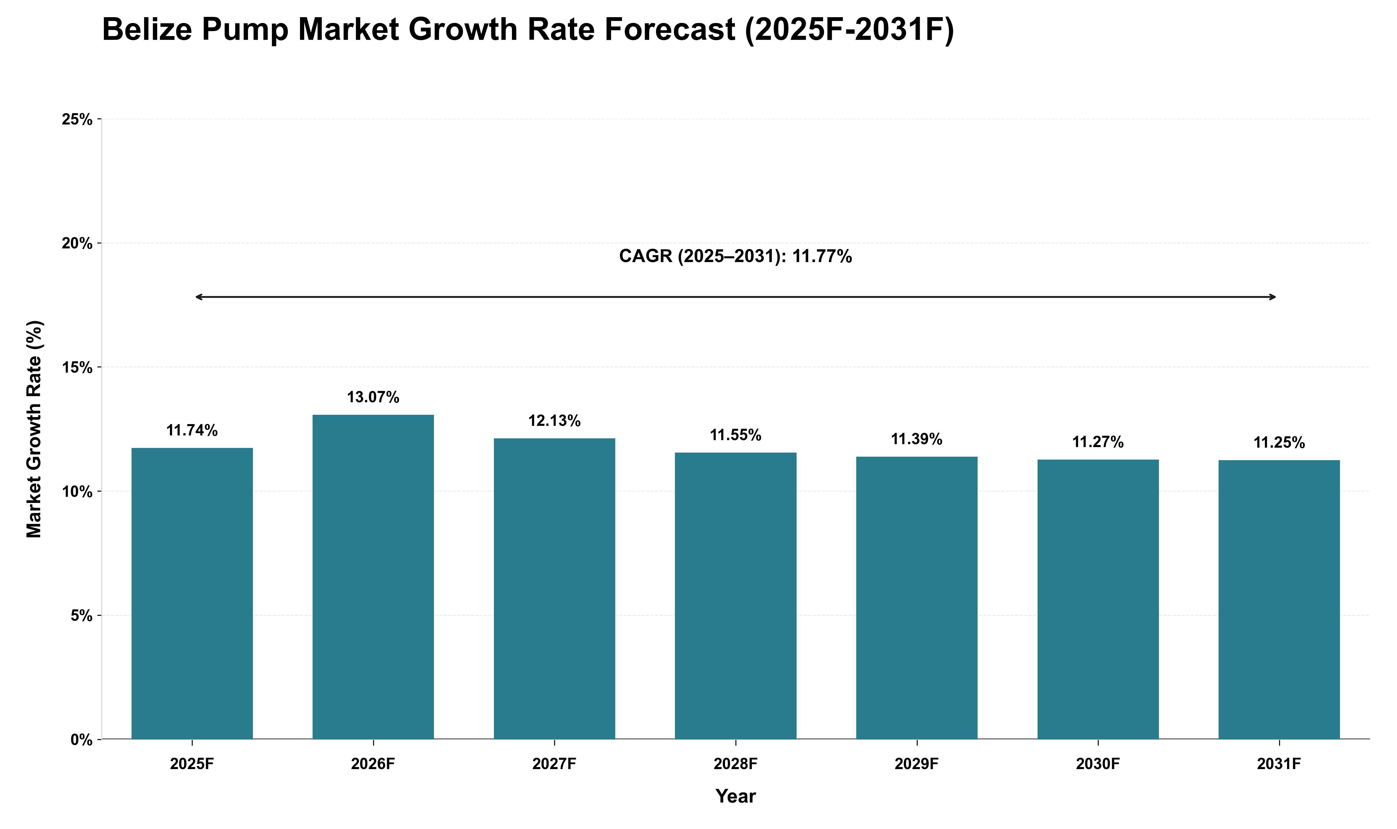 Belize Pump Market Growth Rate Analysis (2025 - 2031)