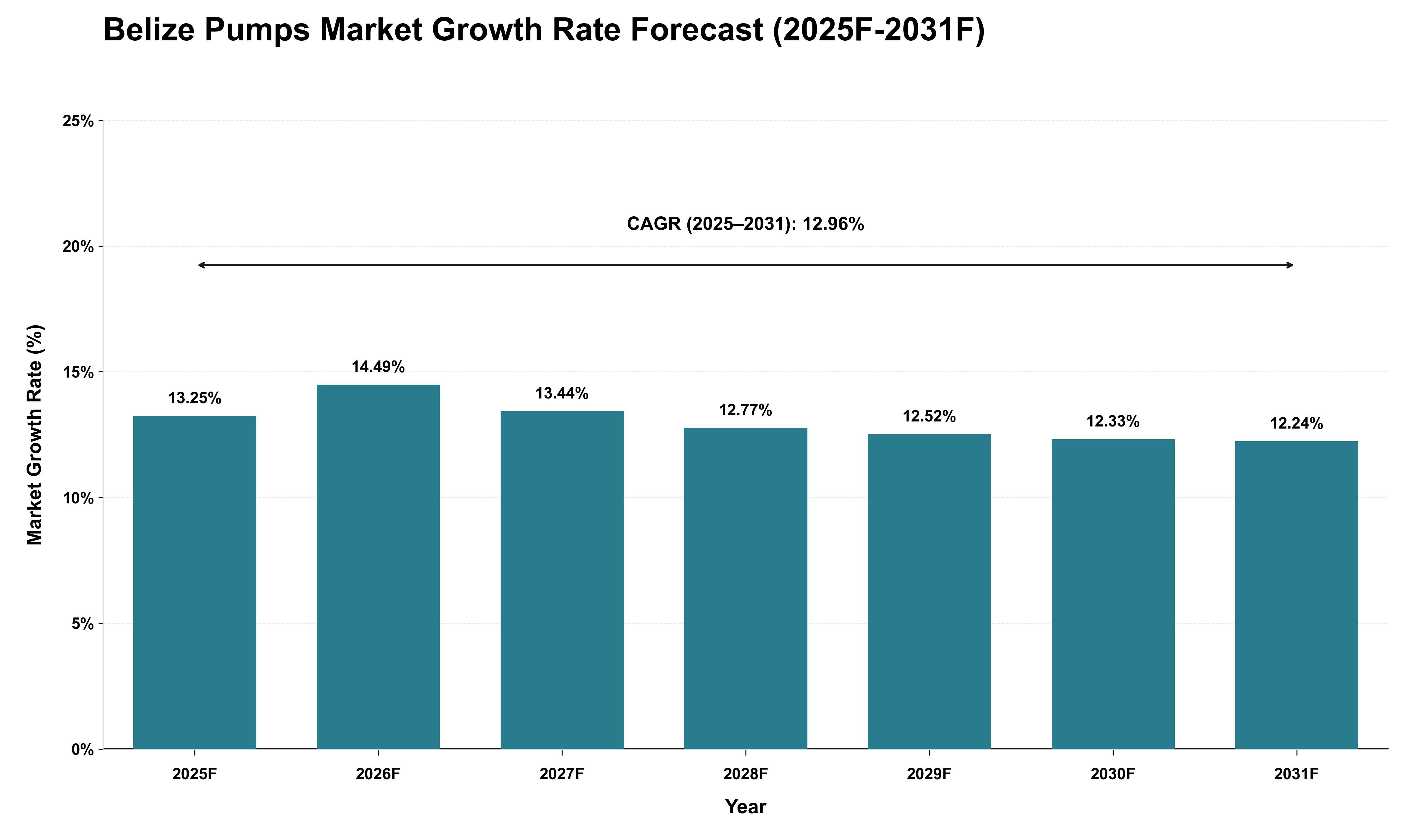 Belize Pumps Market Growth Rate Analysis (2025 - 2031)