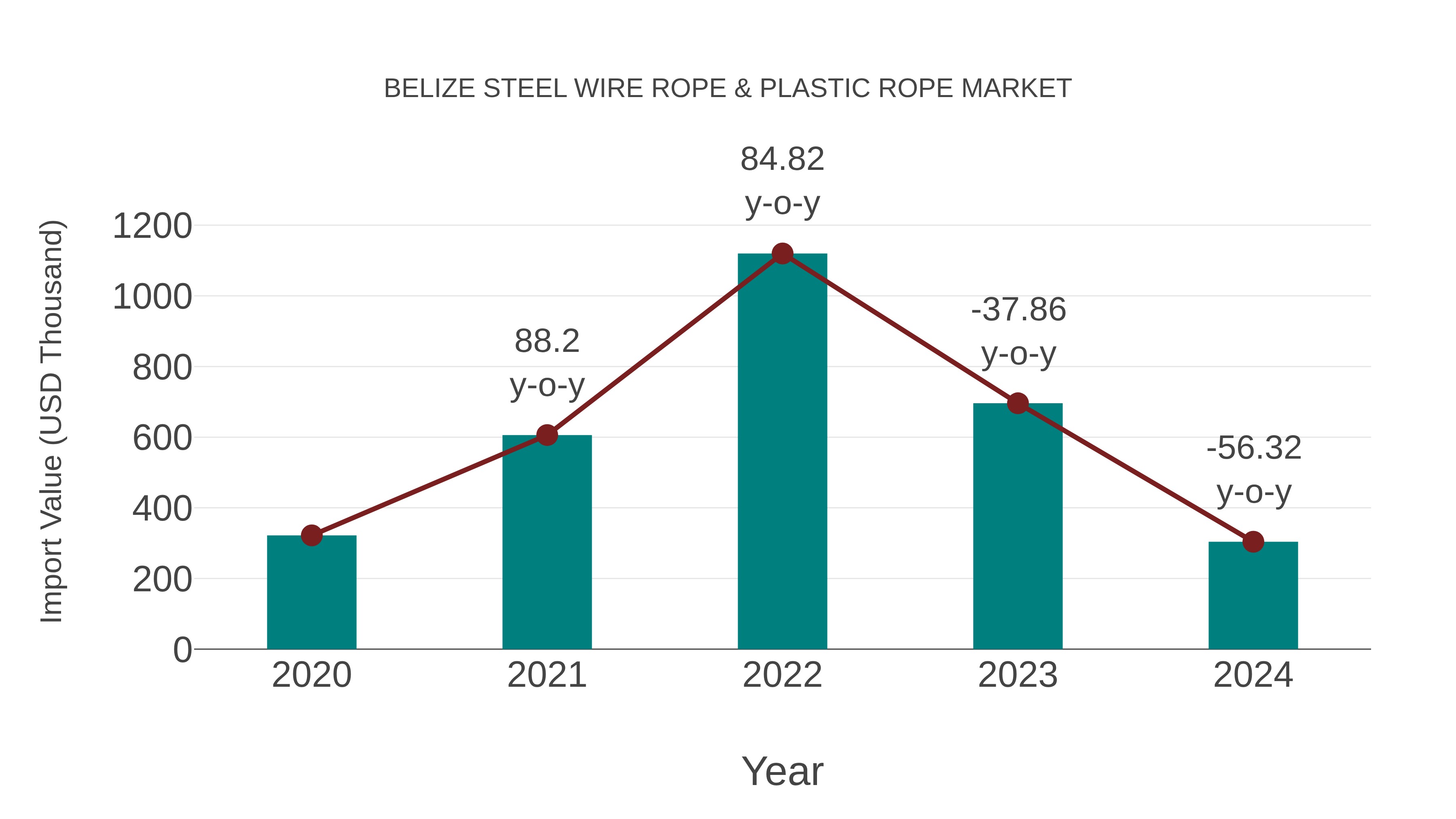  Belize Steel Wire Rope & Plastic Rope Market: Import Trend Analysis