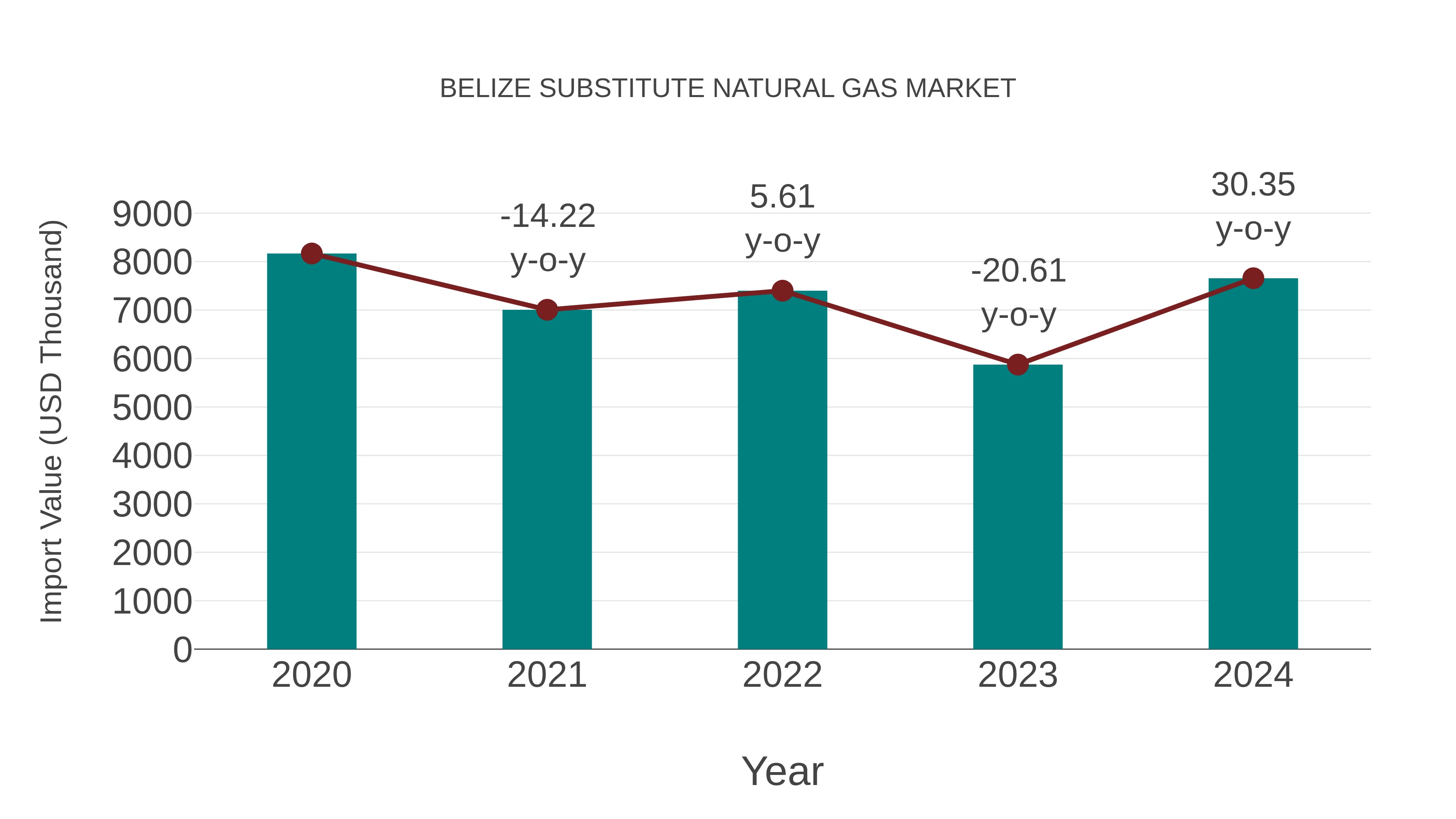  Belize Substitute Natural Gas Market: Import Trend Analysis