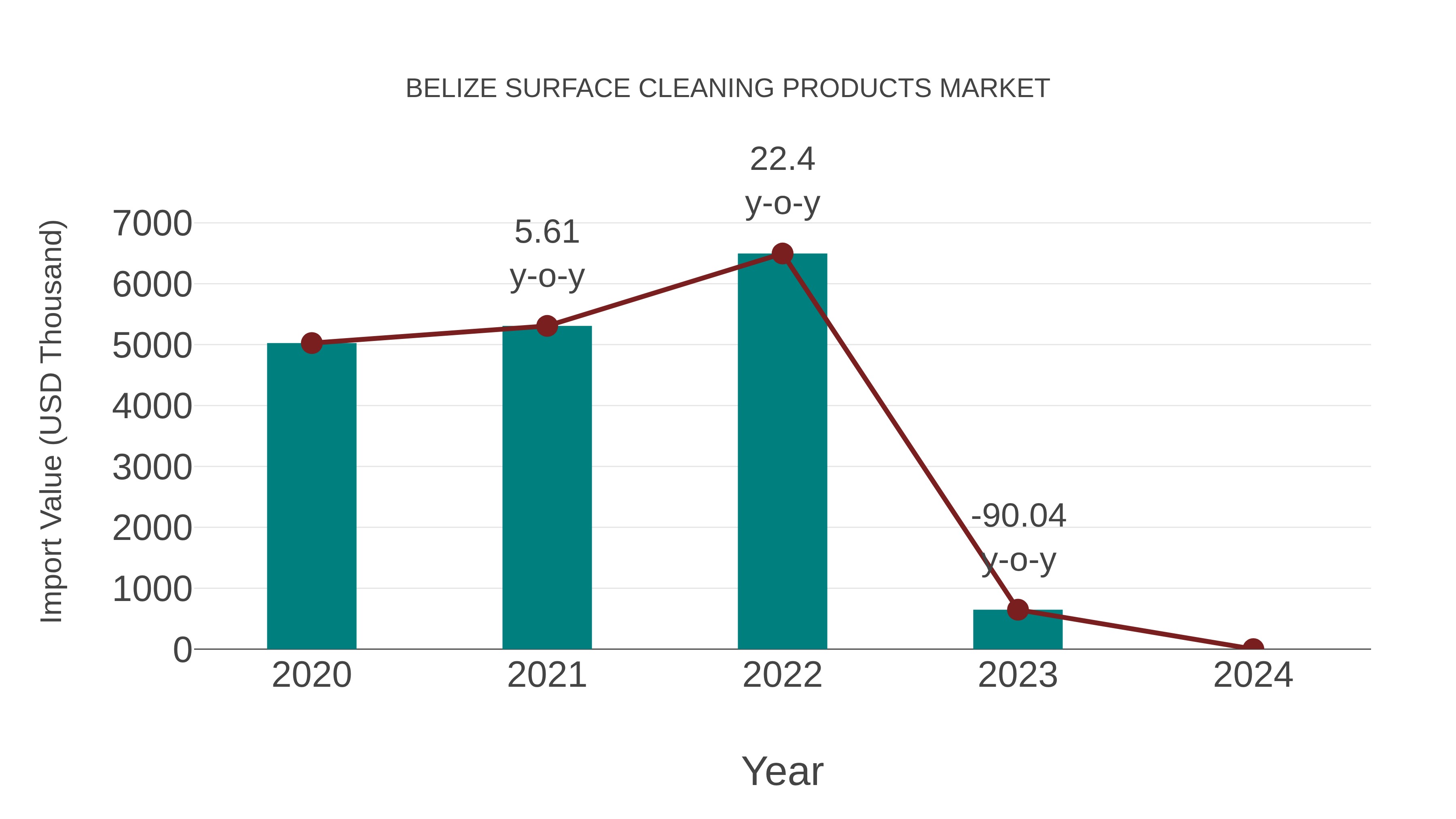 Belize Surface Cleaning Products Market: Import Trend Analysis