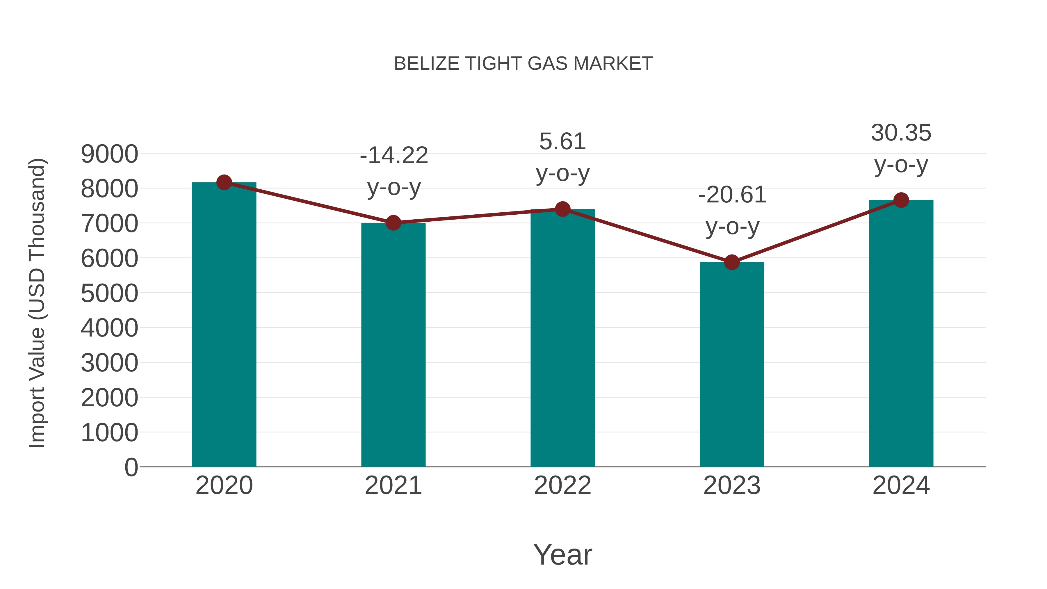  Belize Tight Gas Market: Import Trend Analysis