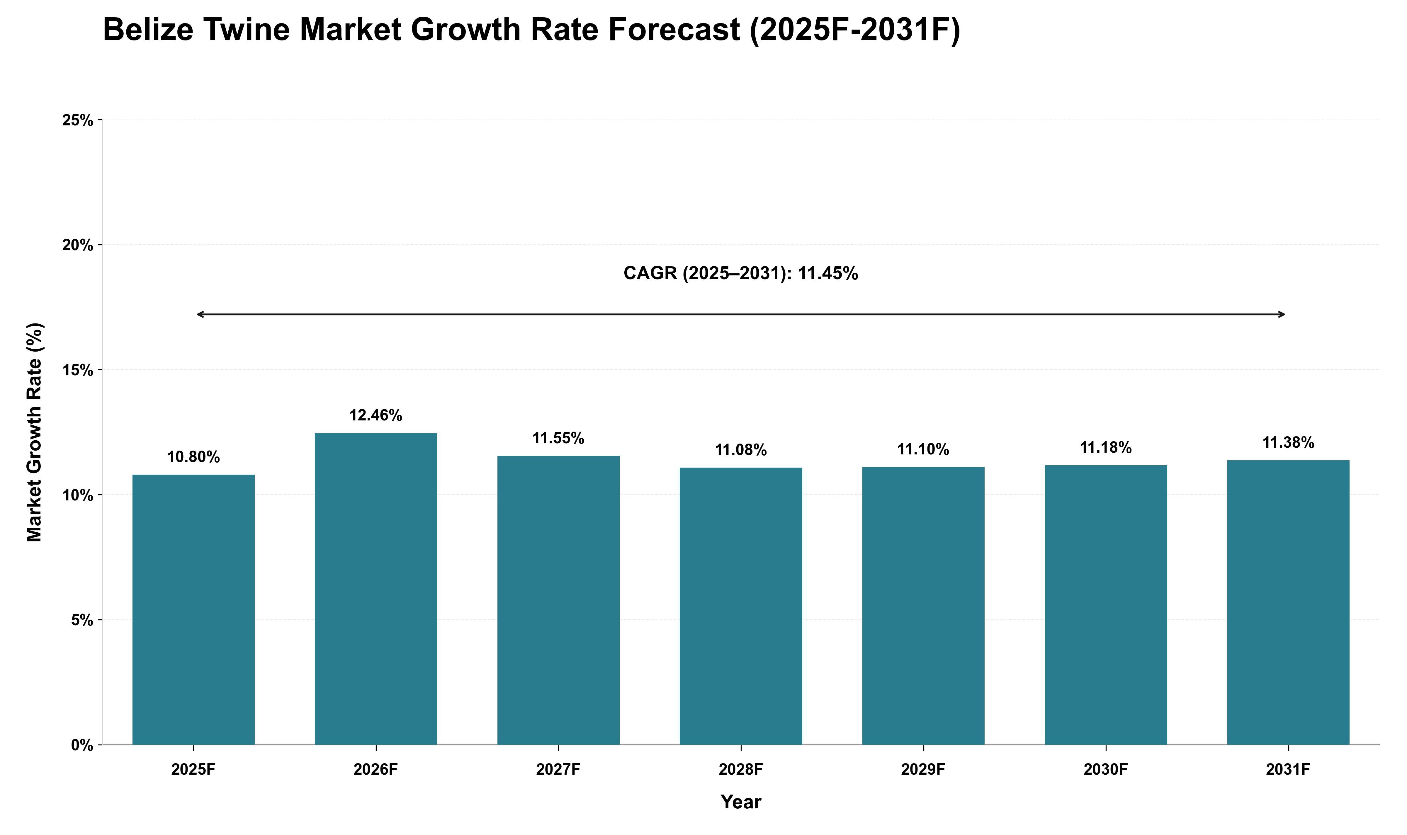 Belize Twine Market Growth Rate Analysis (2025 - 2031)