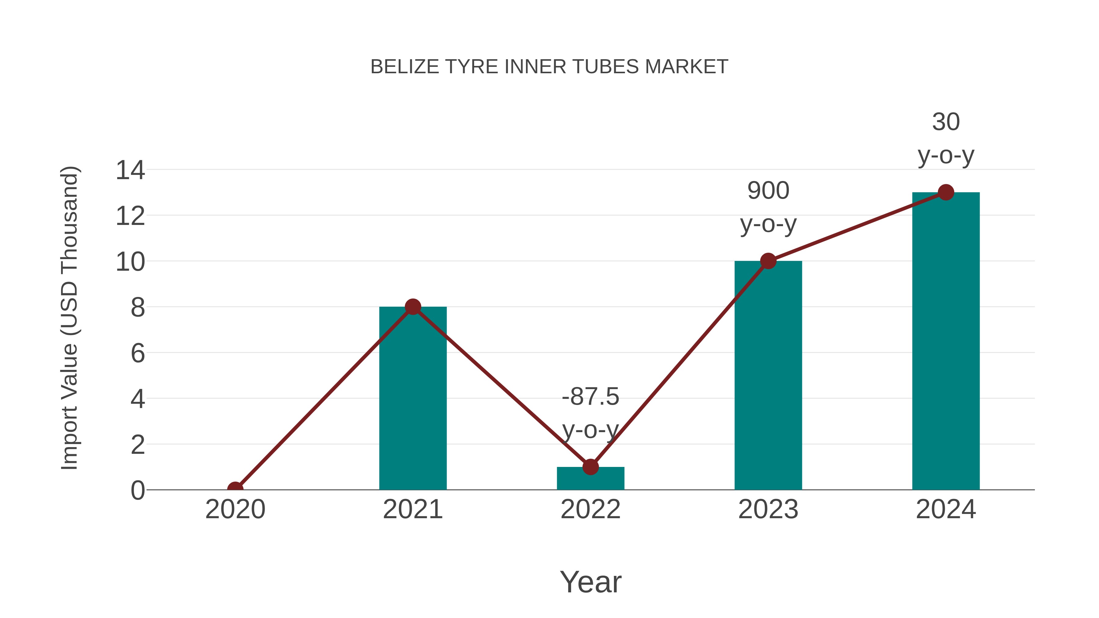  Belize Tyre Inner Tubes Market: Import Trend Analysis