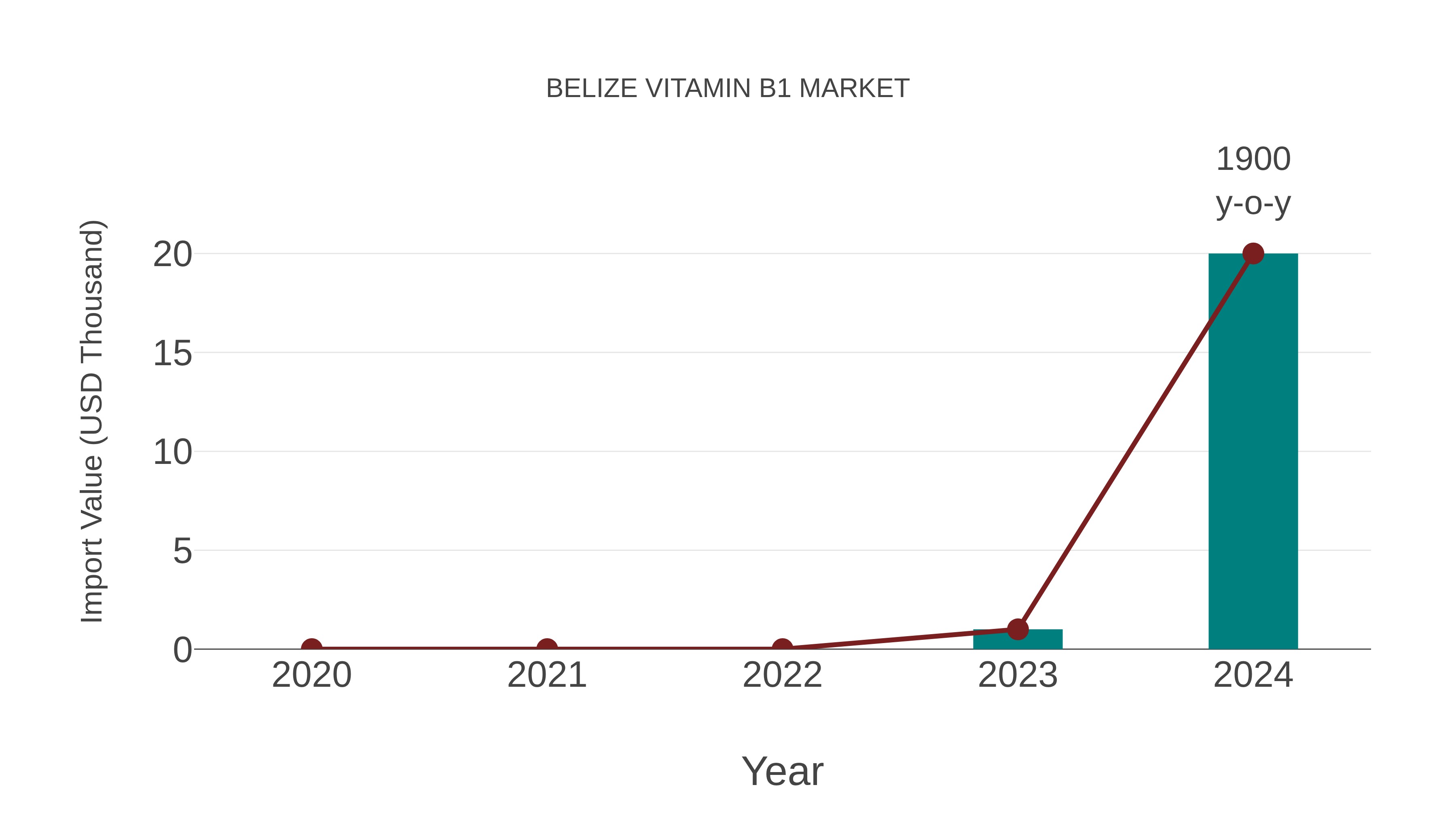 Belize Vitamin B1 Market: Import Trend Analysis