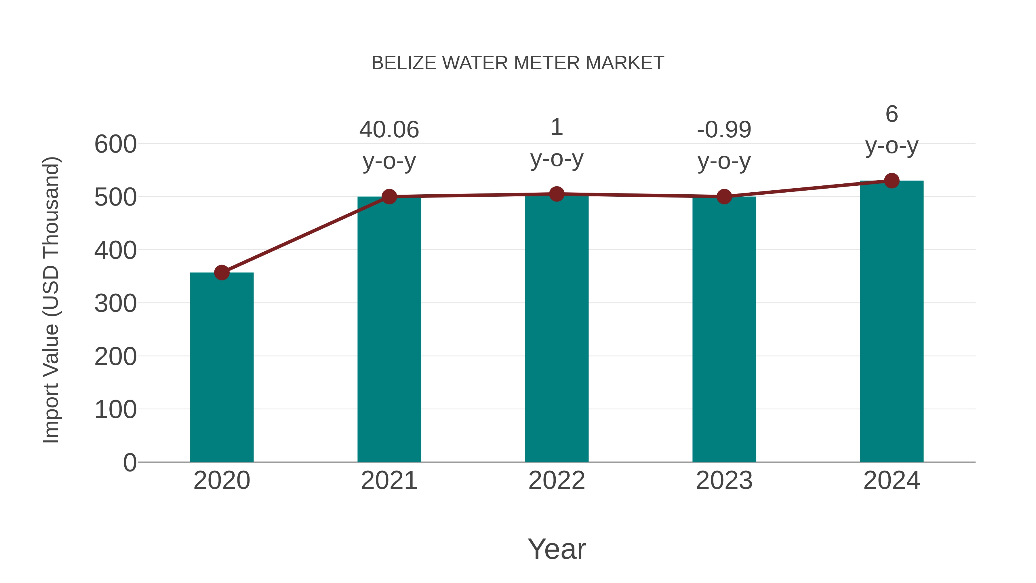 Belize Water Meter Market: Import Trend Analysis