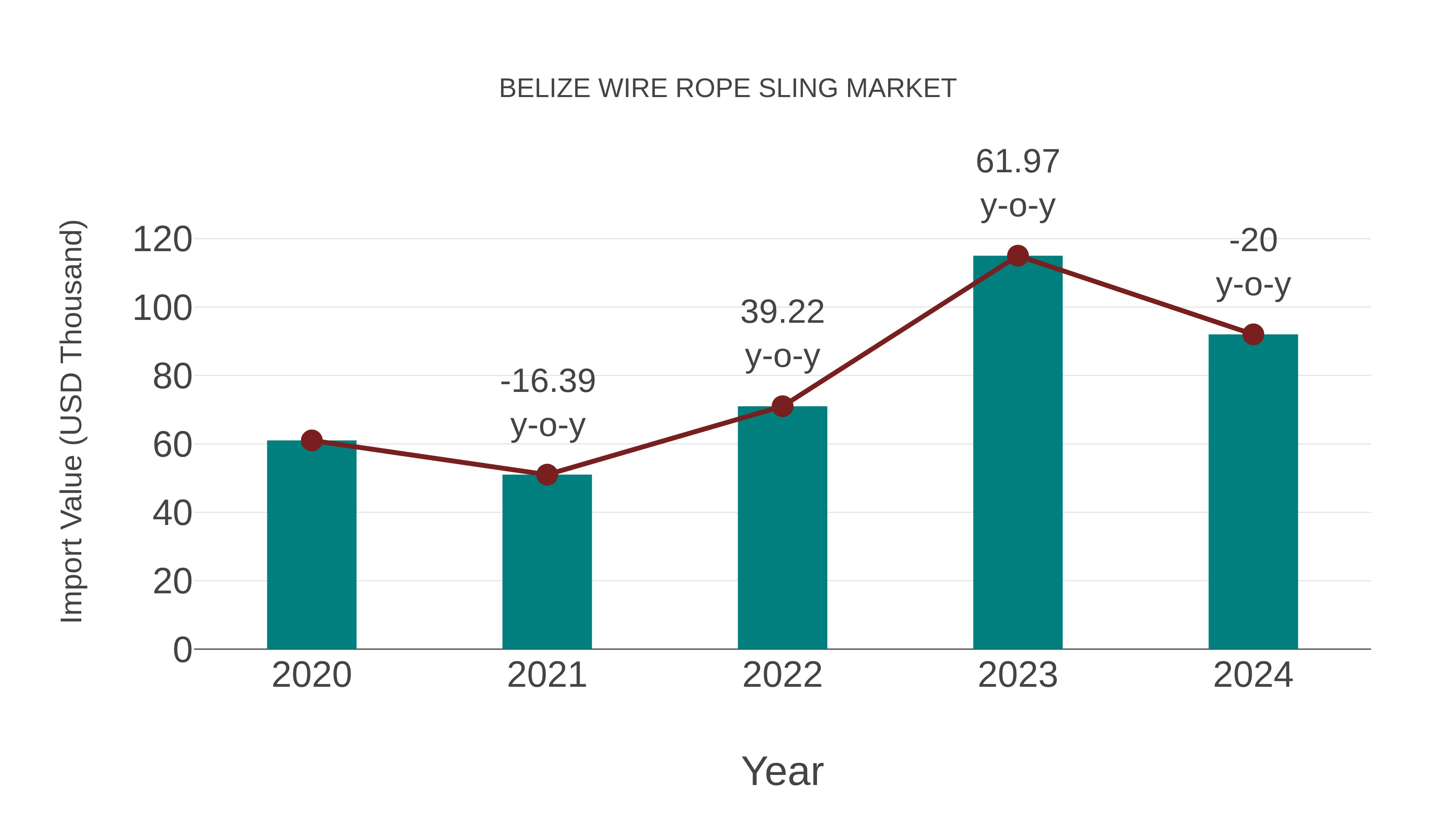  Belize Wire Rope Sling Market: Import Trend Analysis