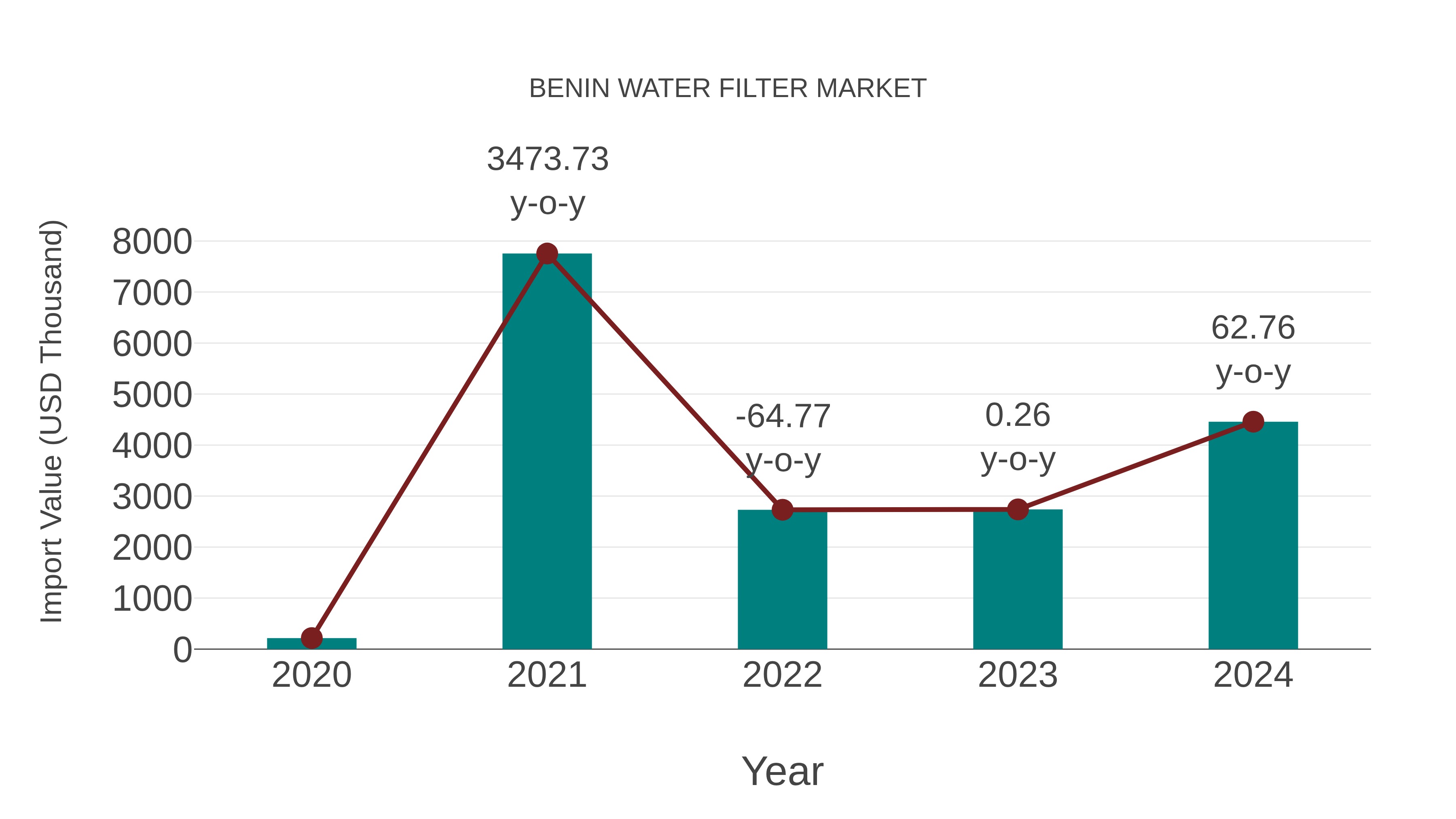  Benin Water Filter Market: Import Trend Analysis