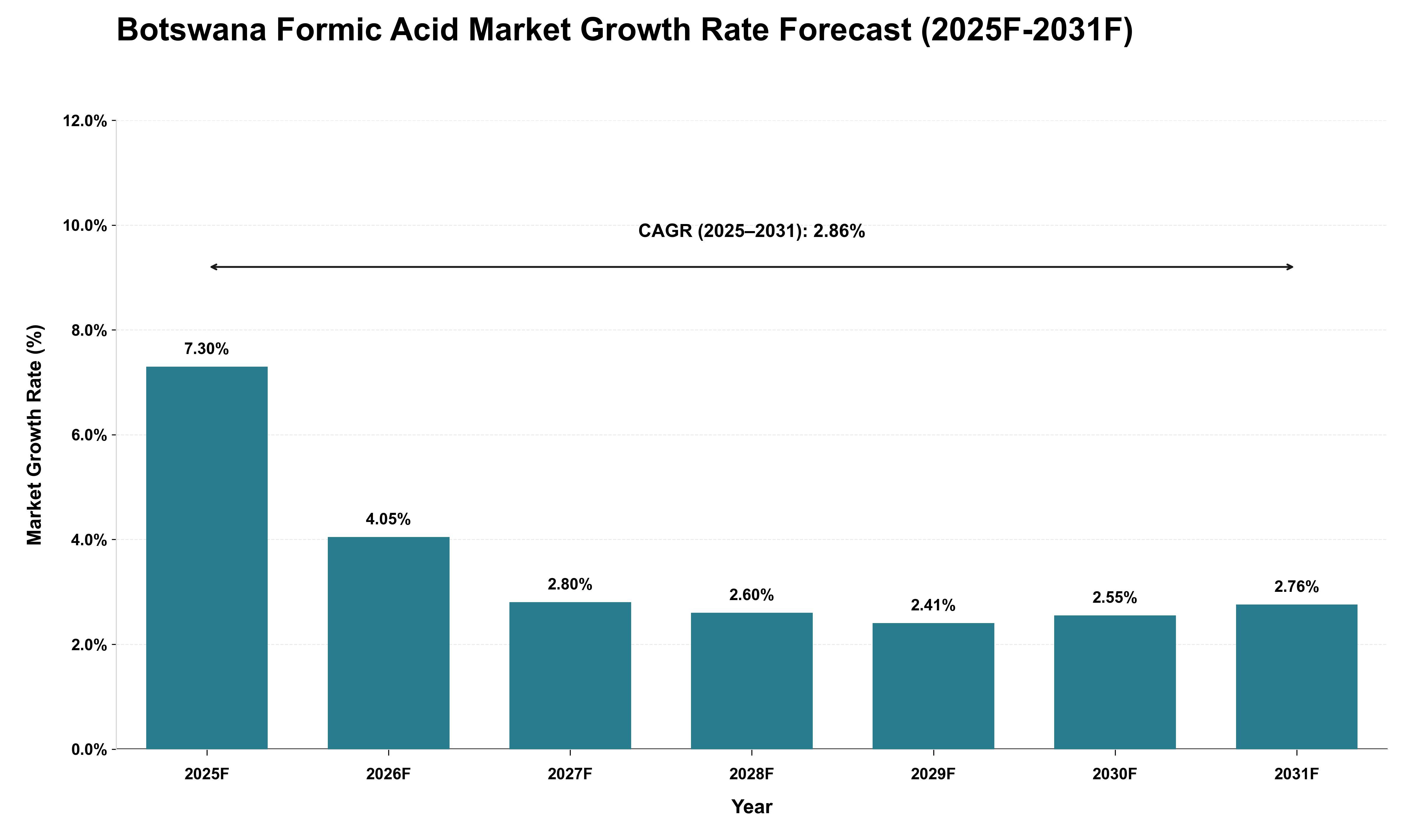 Botswana Formic Acid Market Growth Rate Analysis (2025 - 2031)