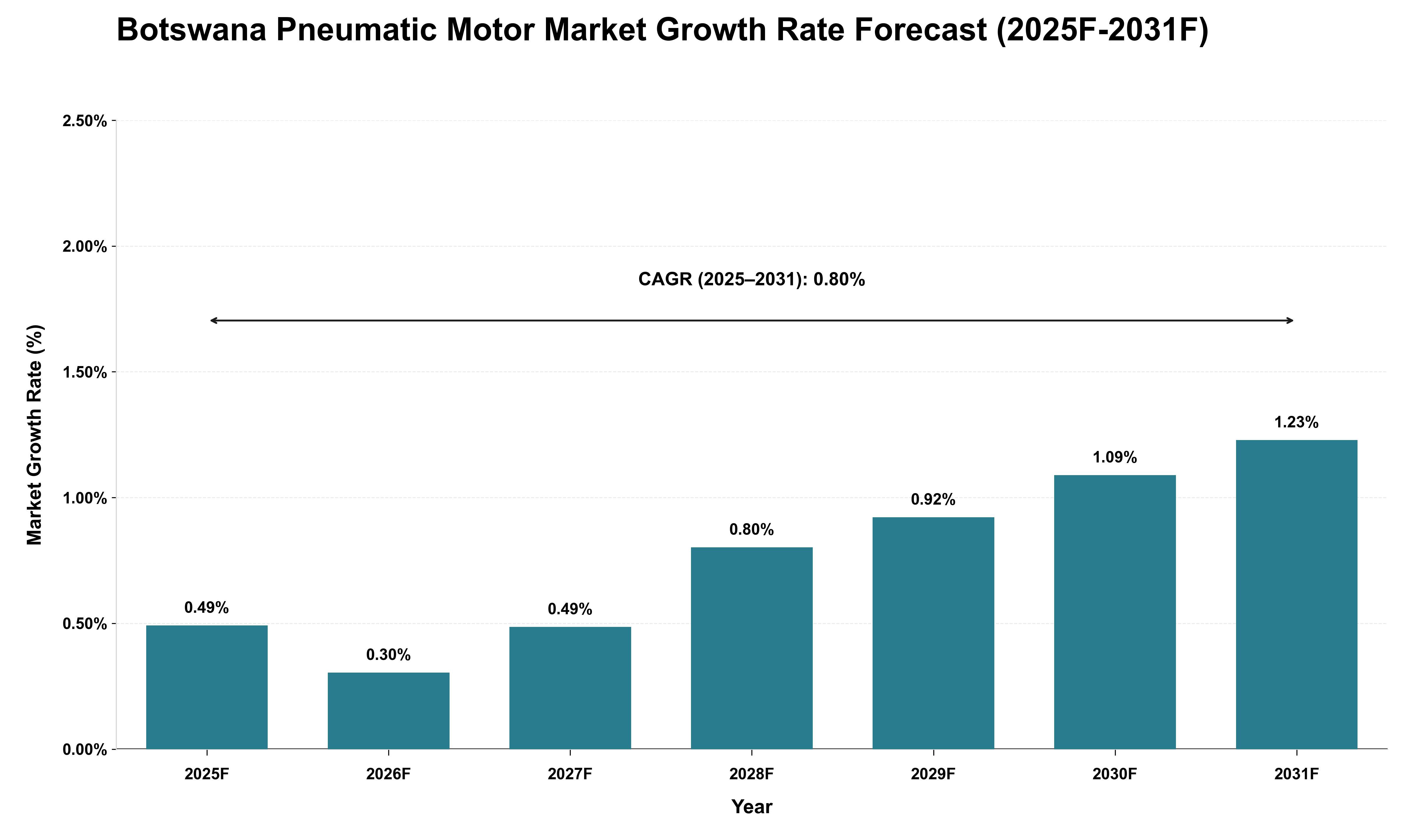 Botswana Pneumatic Motor Market Growth Rate Analysis (2025 - 2031)