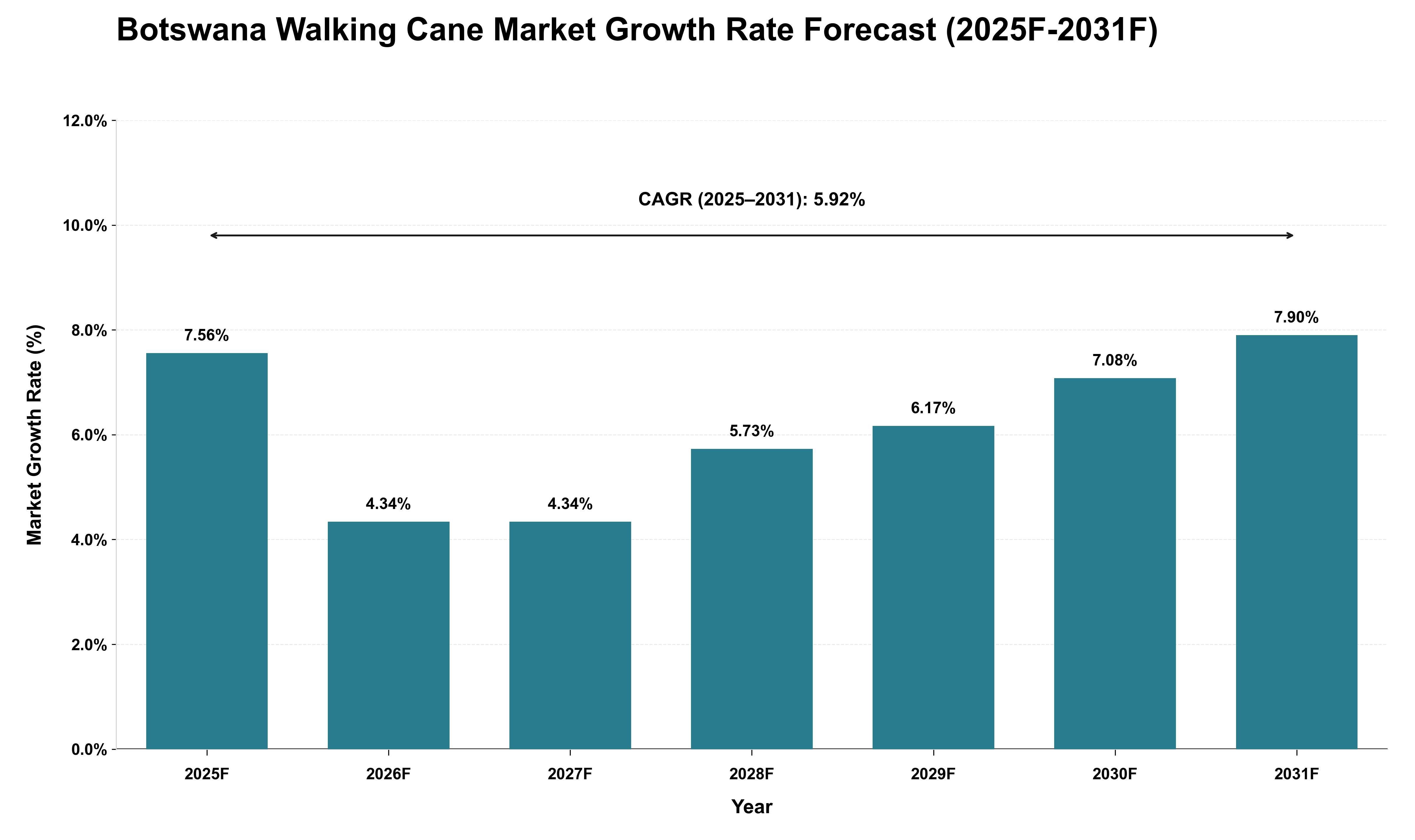 Botswana Walking Cane Market Growth Rate Analysis (2025 - 2031)
