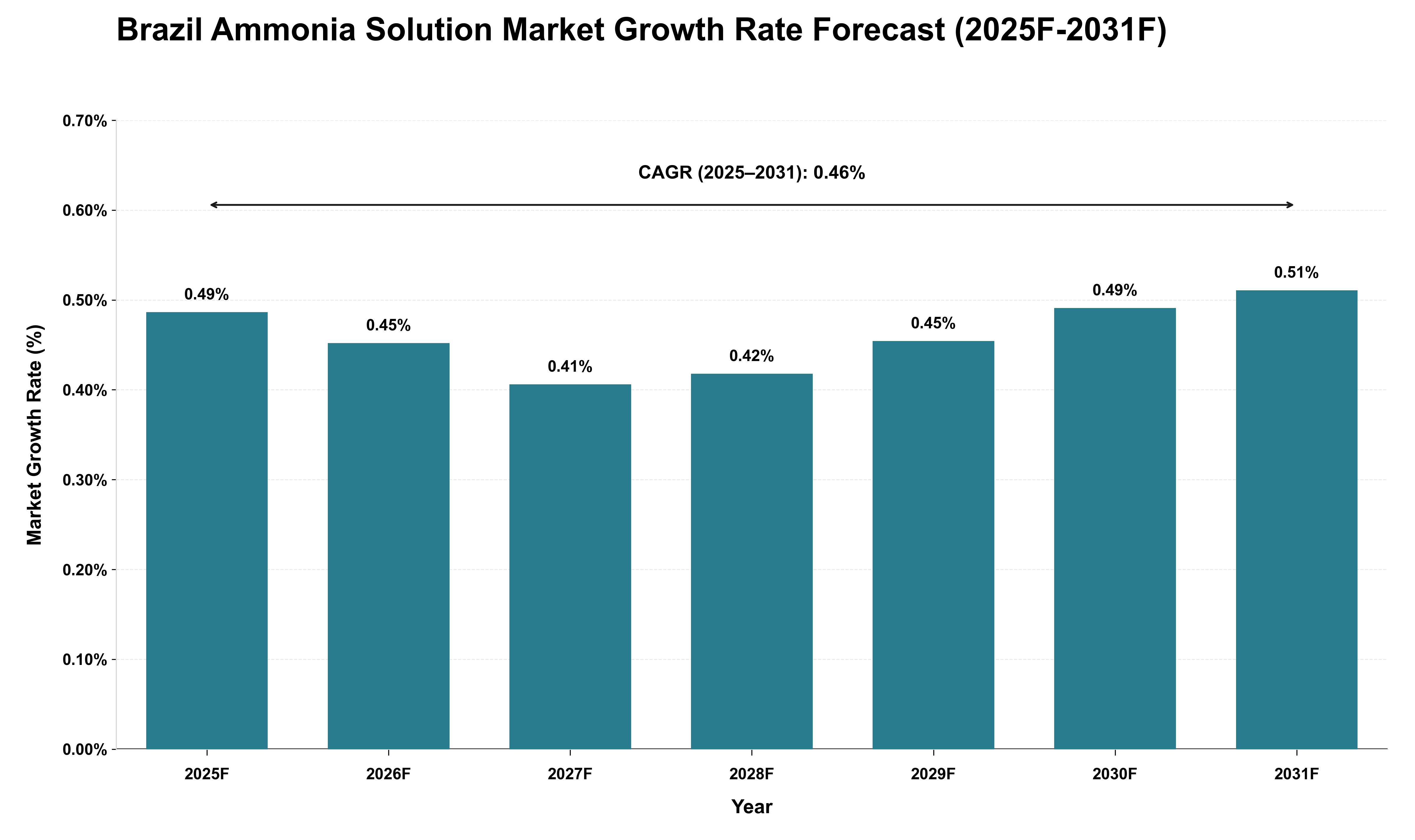 Brazil Ammonia Solution Market Growth Rate Analysis (2025 - 2031)