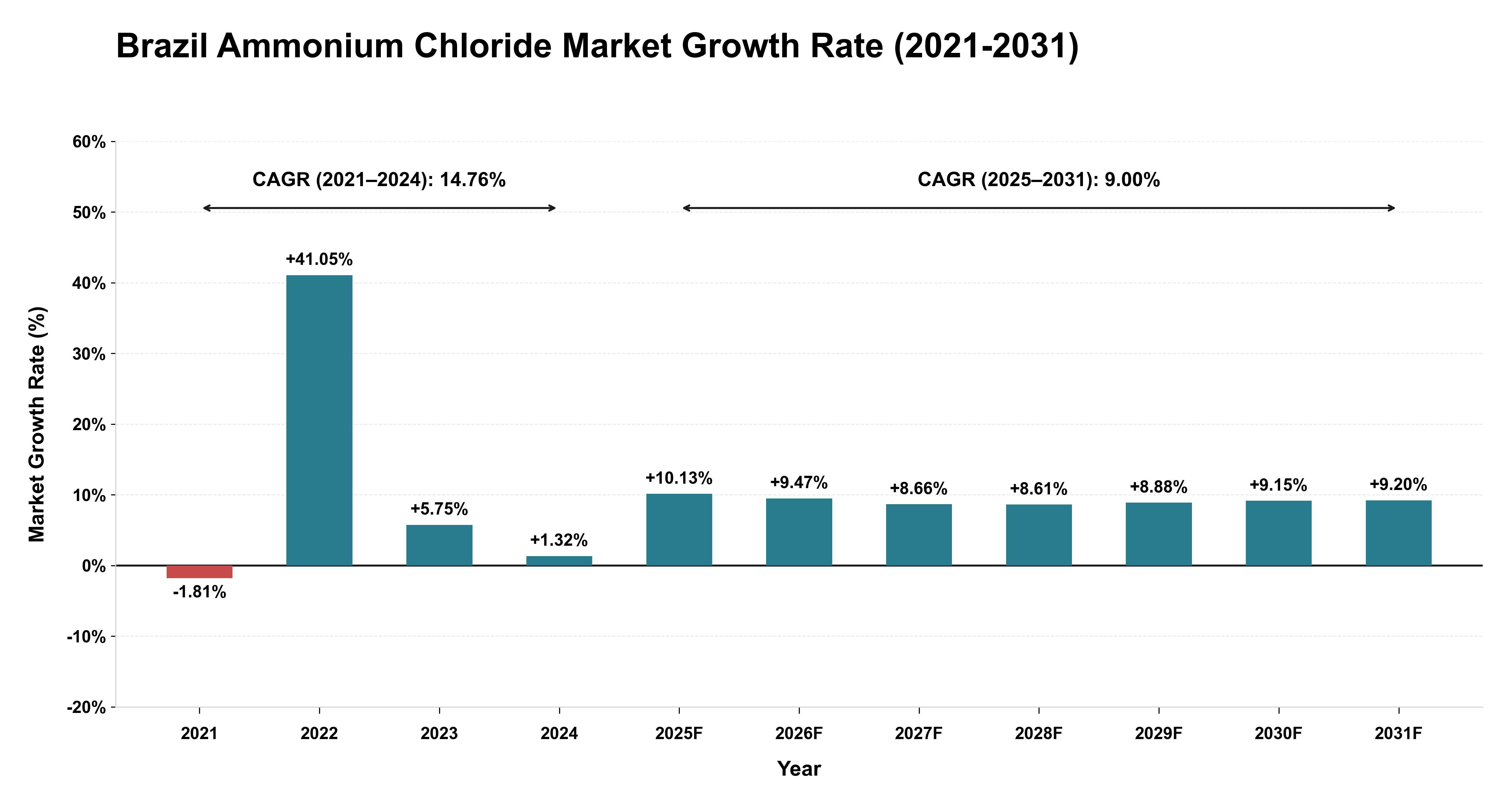 Brazil Ammonium Chloride Market Growth Rate Analysis (2021-2031)