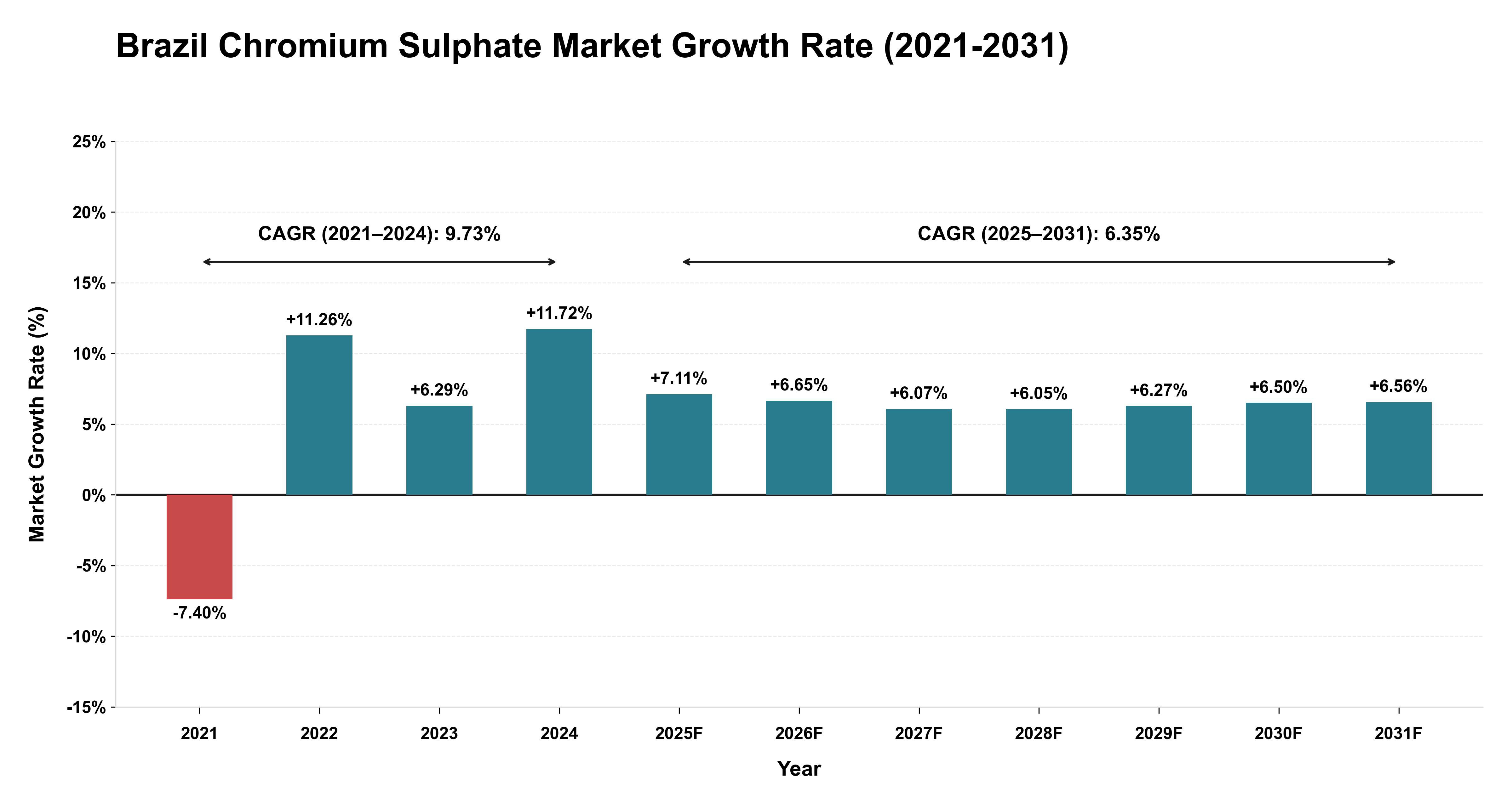 Brazil Chromium Sulphate Market Growth Rate Analysis (2021-2031)
