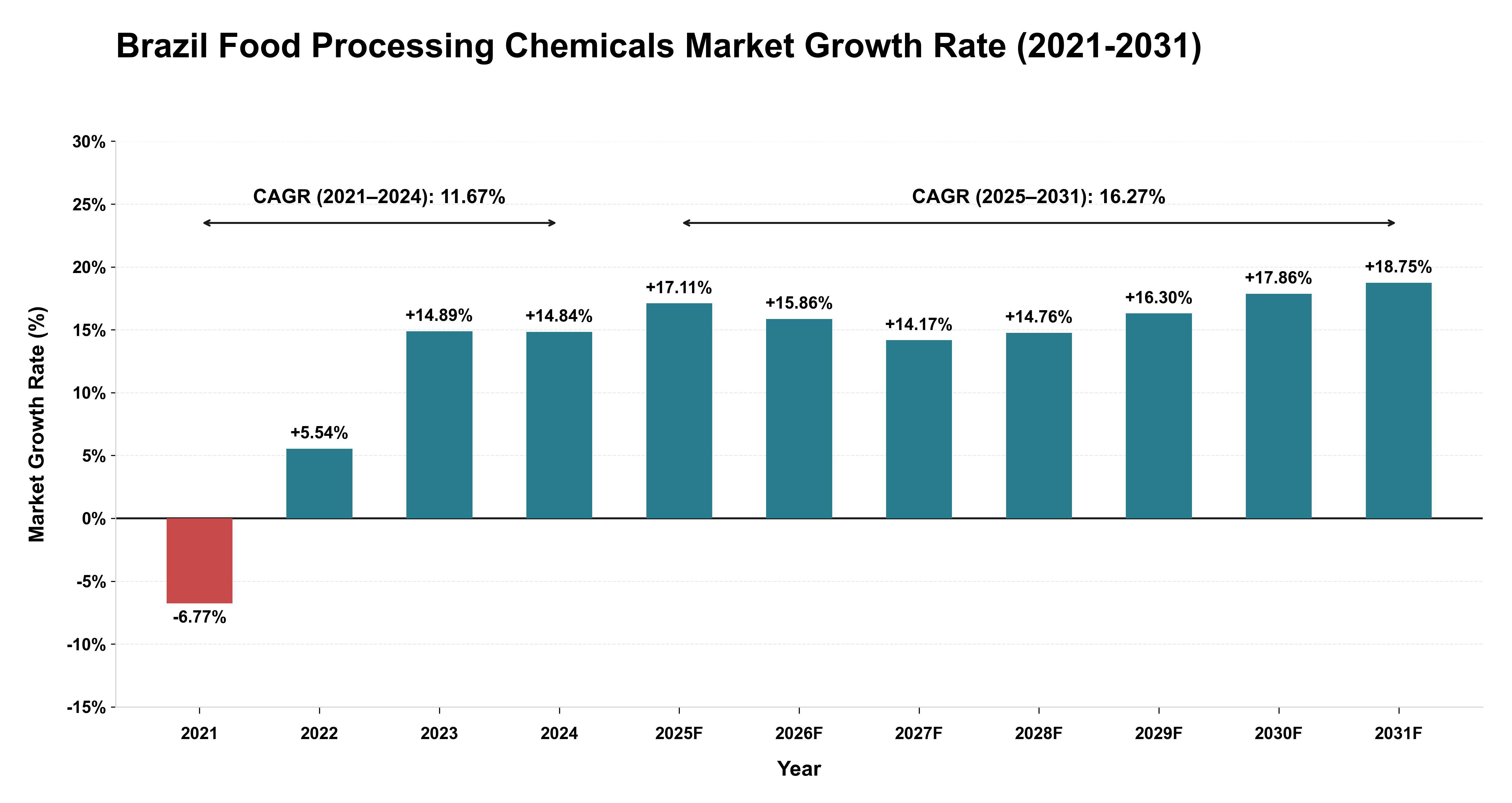 Brazil Food Processing Chemicals Market Growth Rate Analysis (2021-2031)