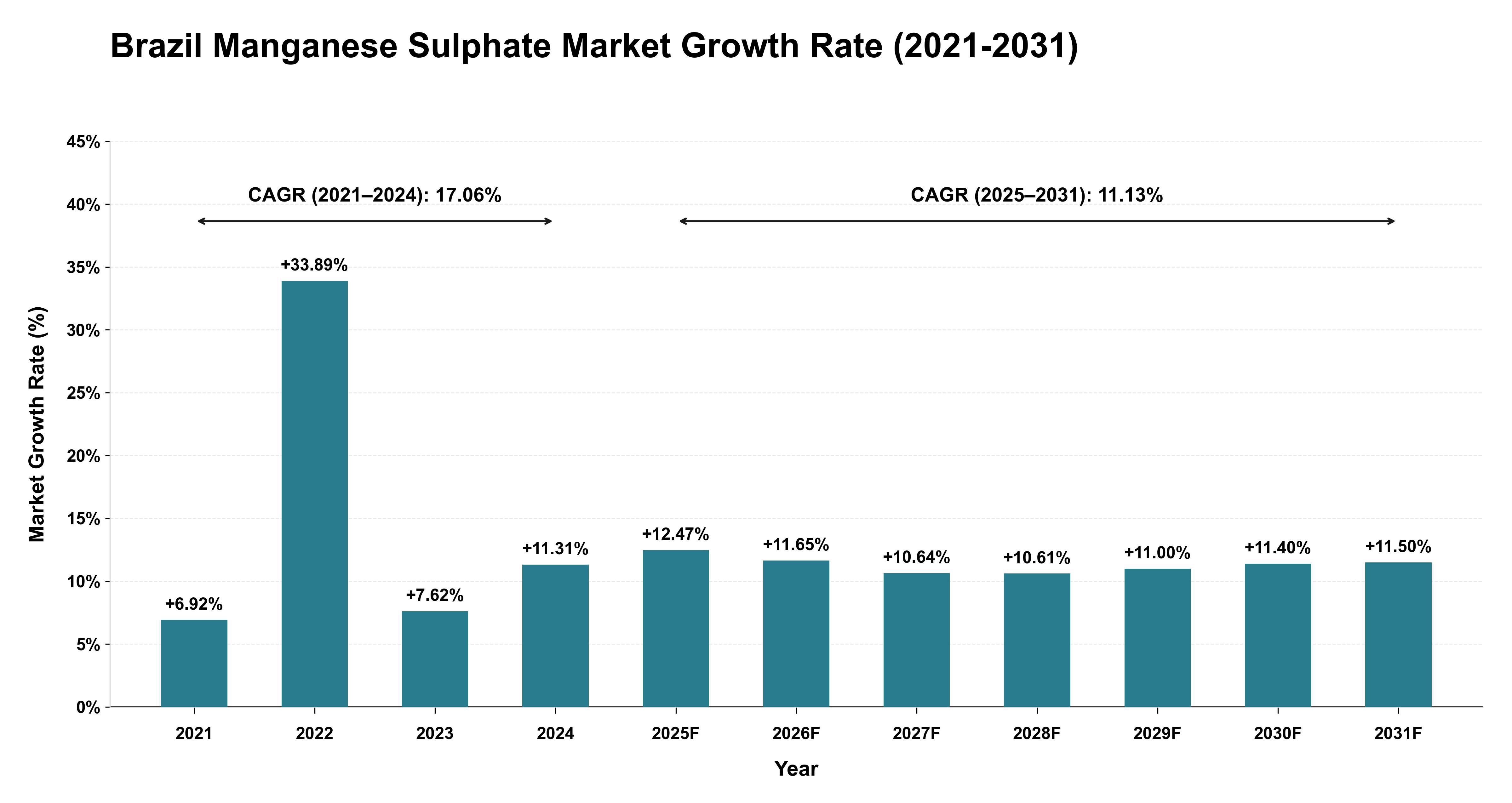 Brazil Manganese Sulphate Market Growth Rate Analysis (2021-2031)