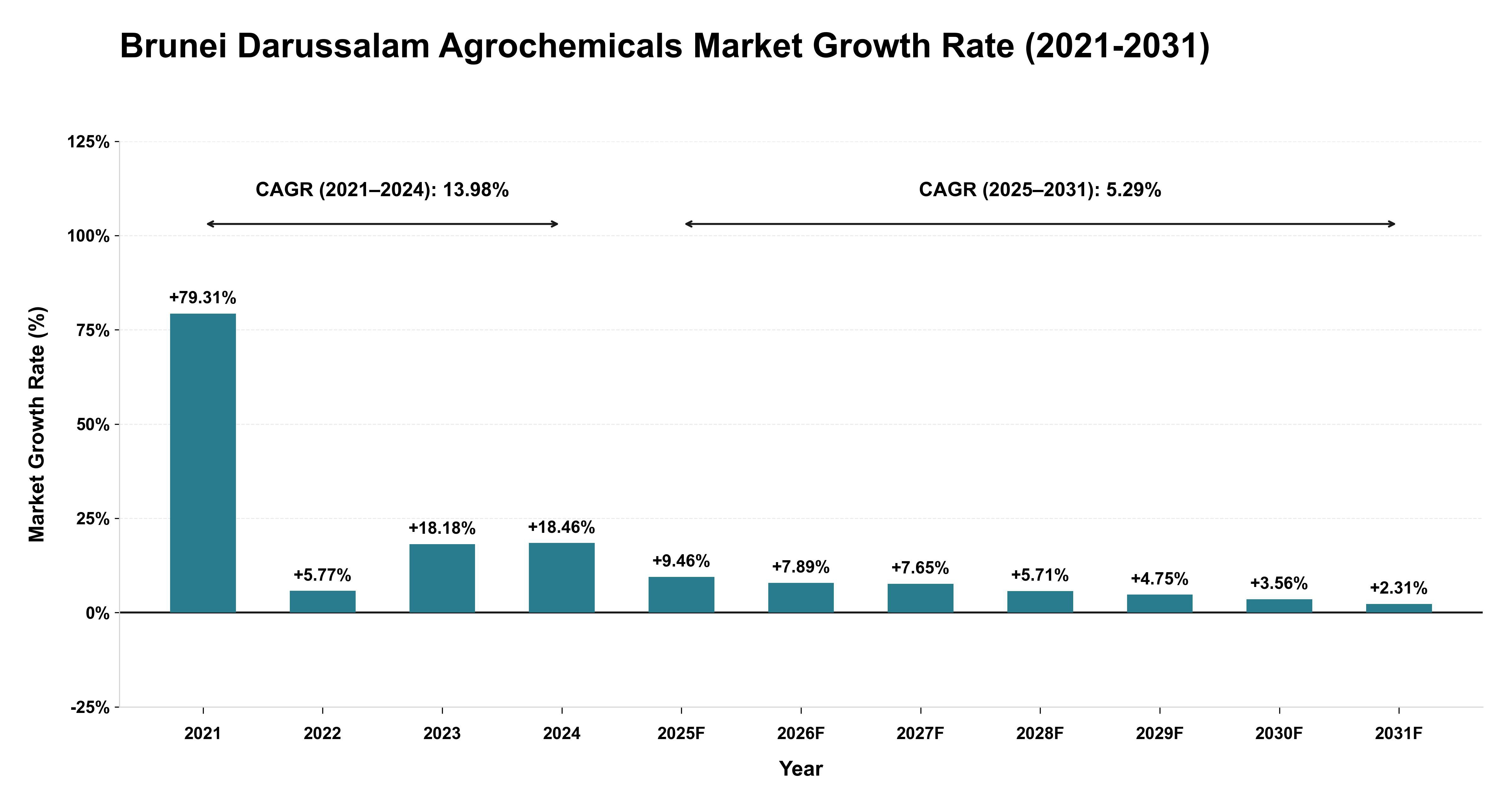 Brunei Darussalam Agrochemicals Market Growth Rate Analysis (2021-2031)