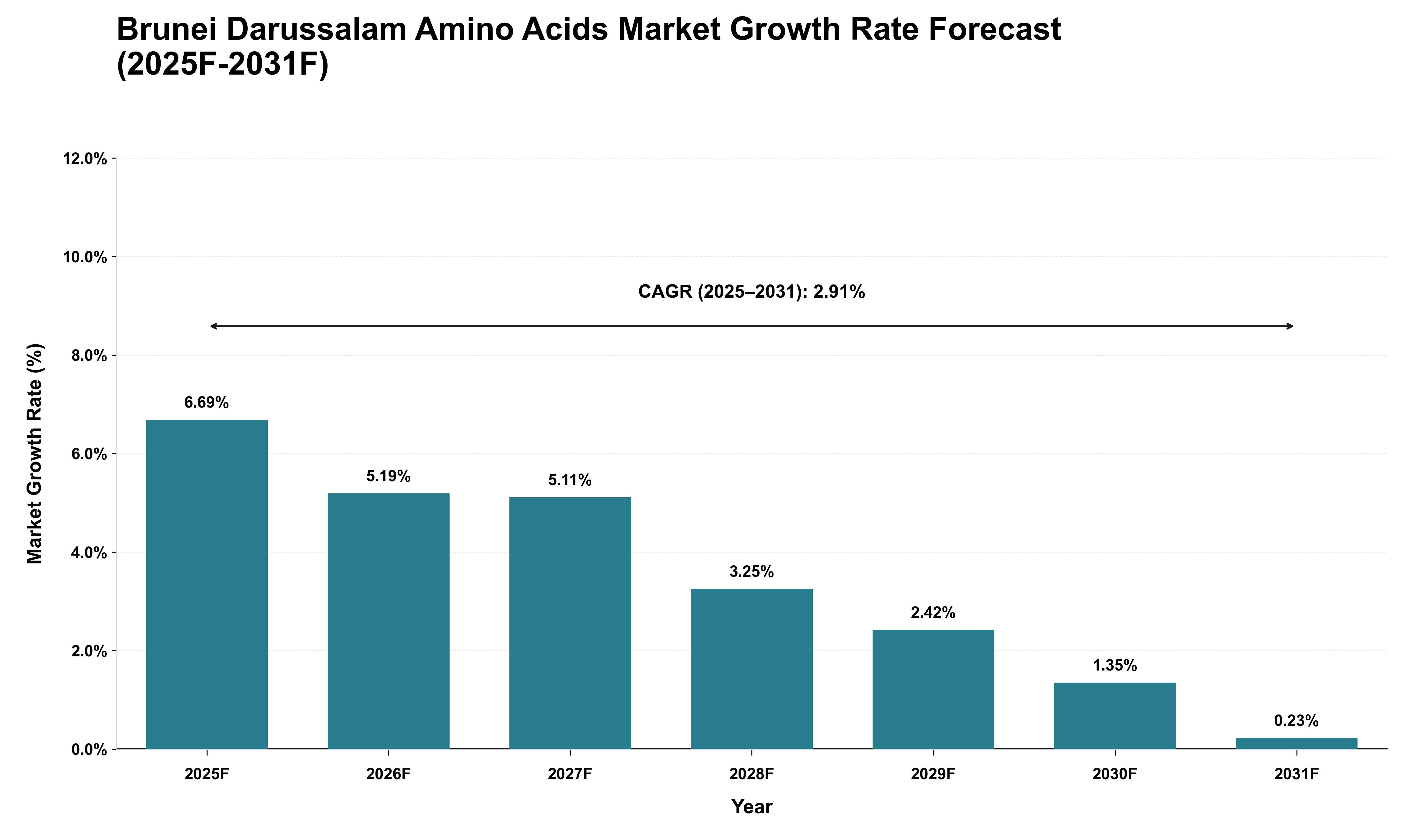 Brunei Darussalam Amino Acids Market Growth Rate Analysis (2025 - 2031)