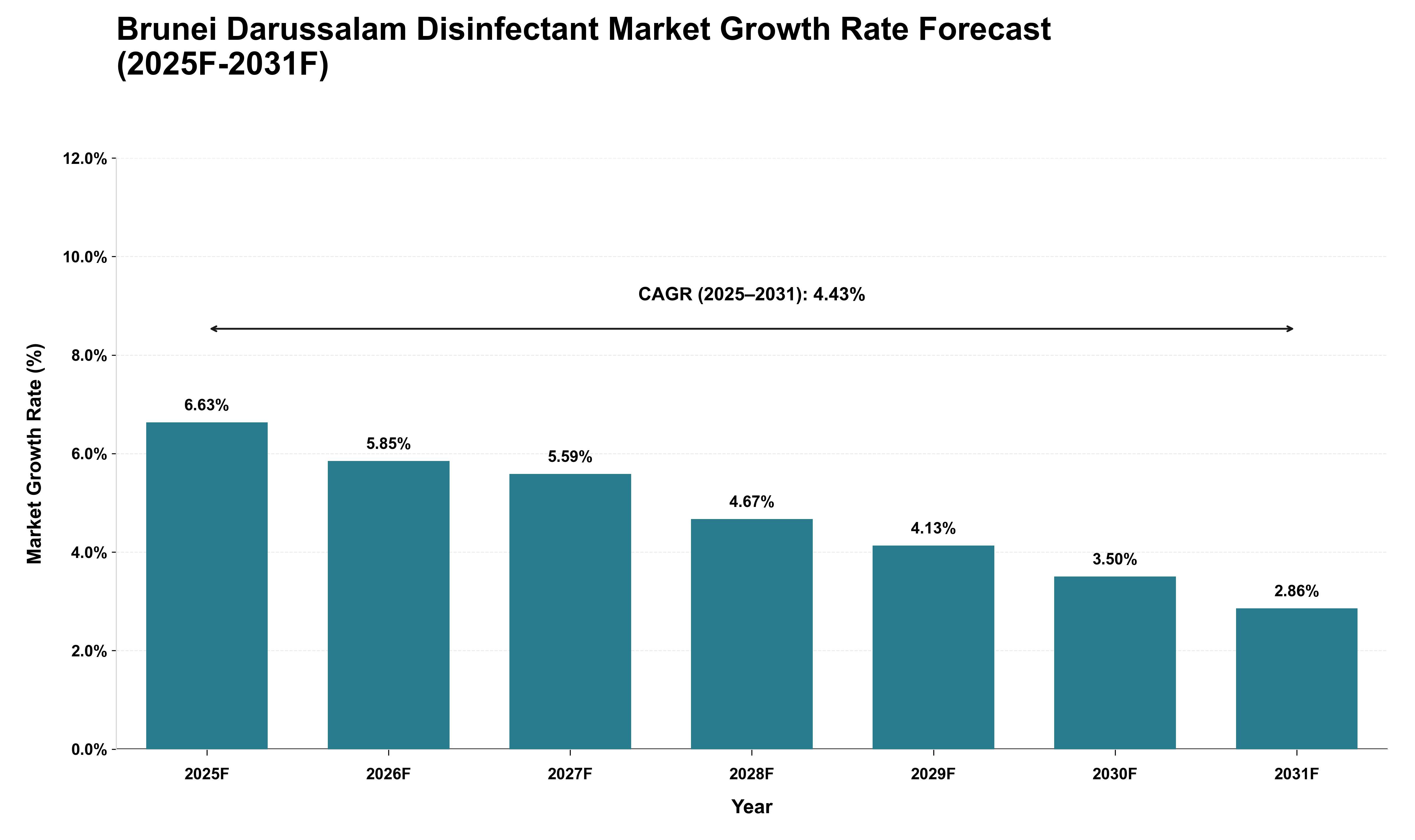 Brunei Darussalam Disinfectant Market Growth Rate Analysis (2025 - 2031)