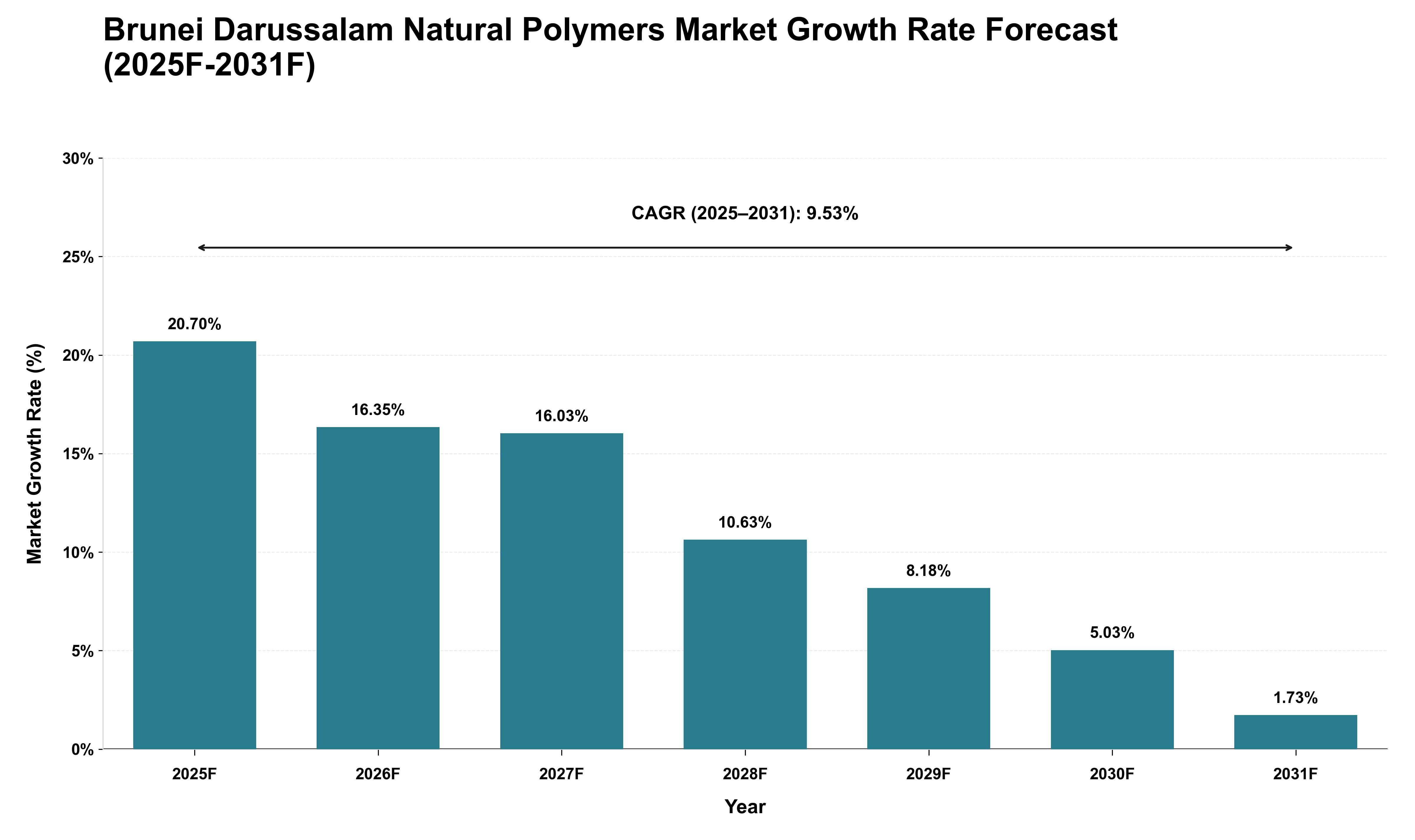 Brunei Darussalam Natural Polymers Market Growth Rate Analysis (2025 - 2031)