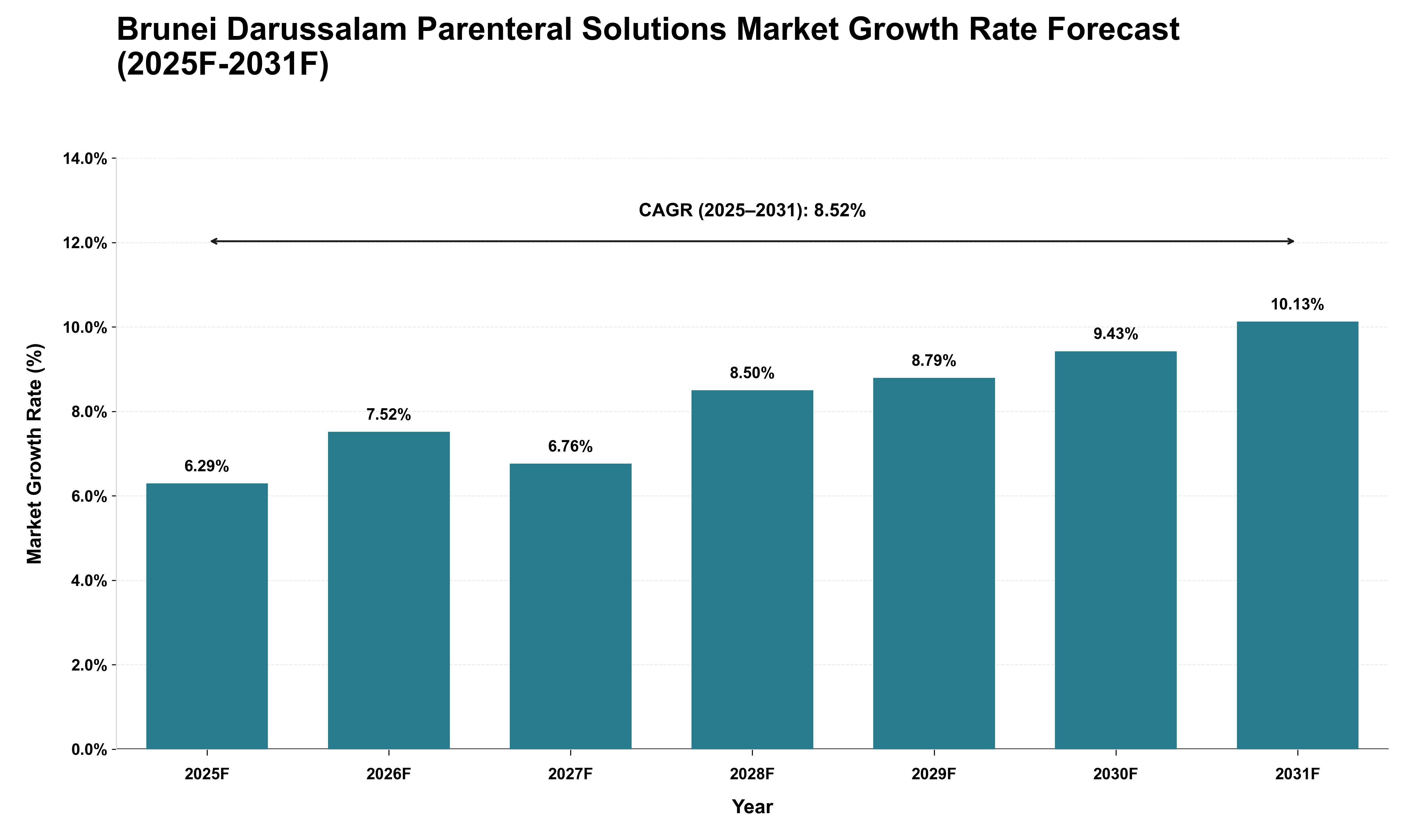 Brunei Darussalam Parenteral Solutions Market Growth Rate Analysis (2025 - 2031)