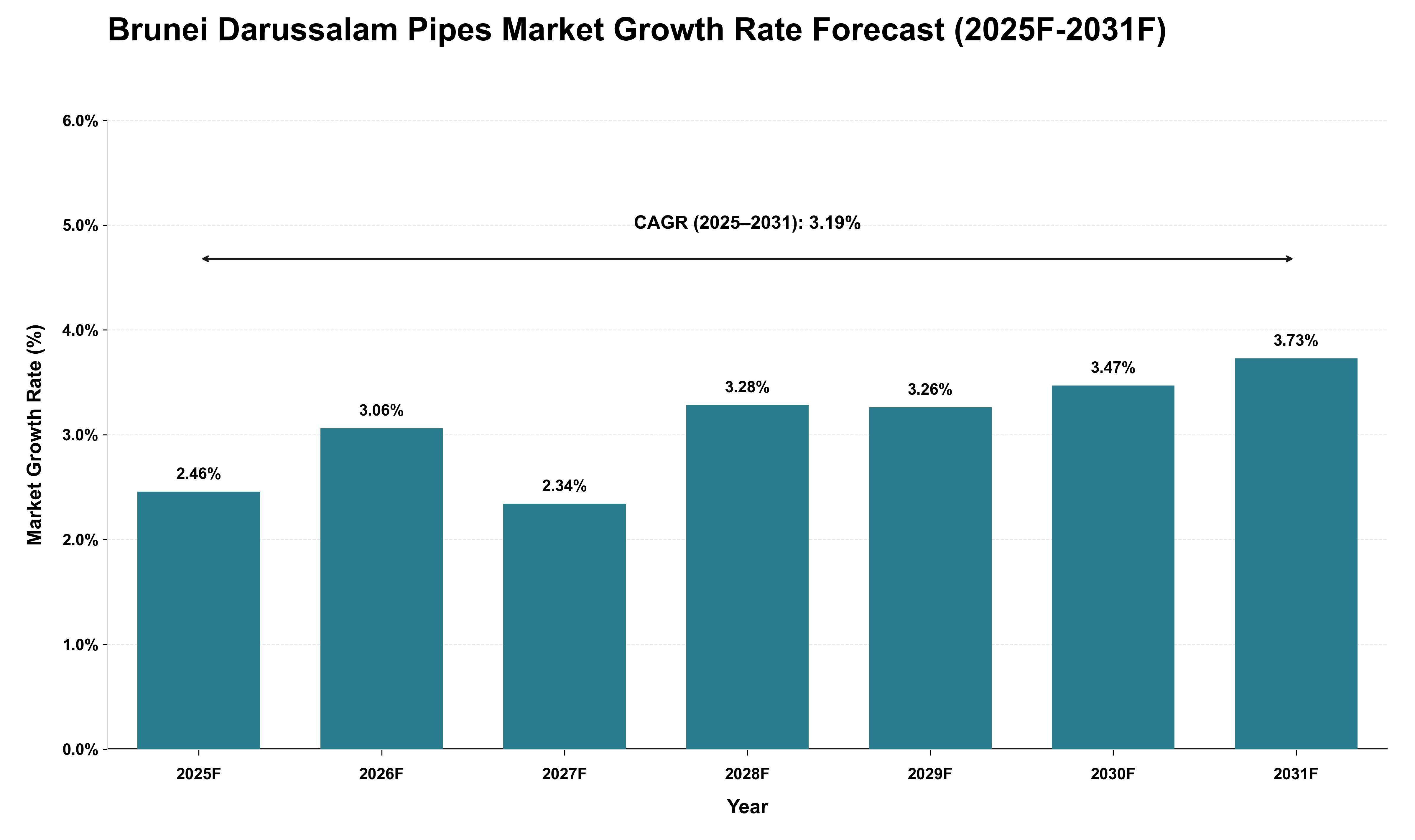 Brunei Darussalam Pipes Market Growth Rate Analysis (2025 - 2031)