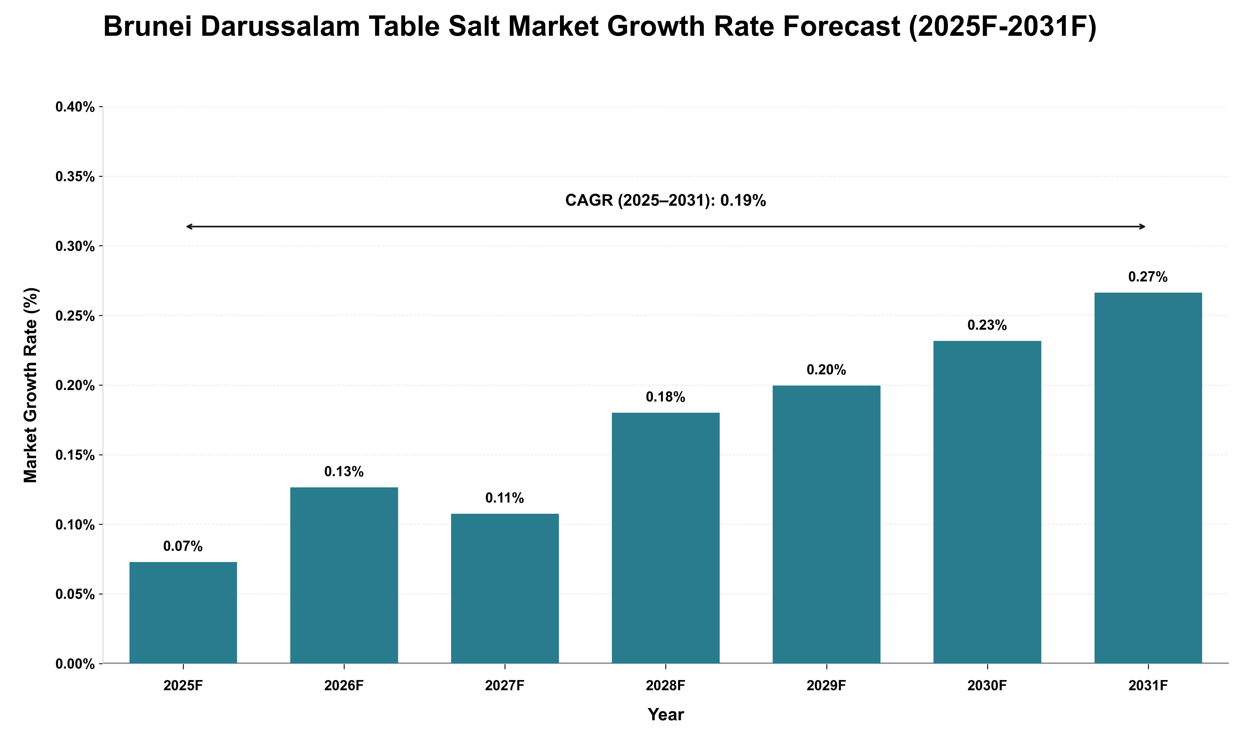 Brunei Darussalam Table Salt Market Growth Rate Analysis (2025 - 2031)