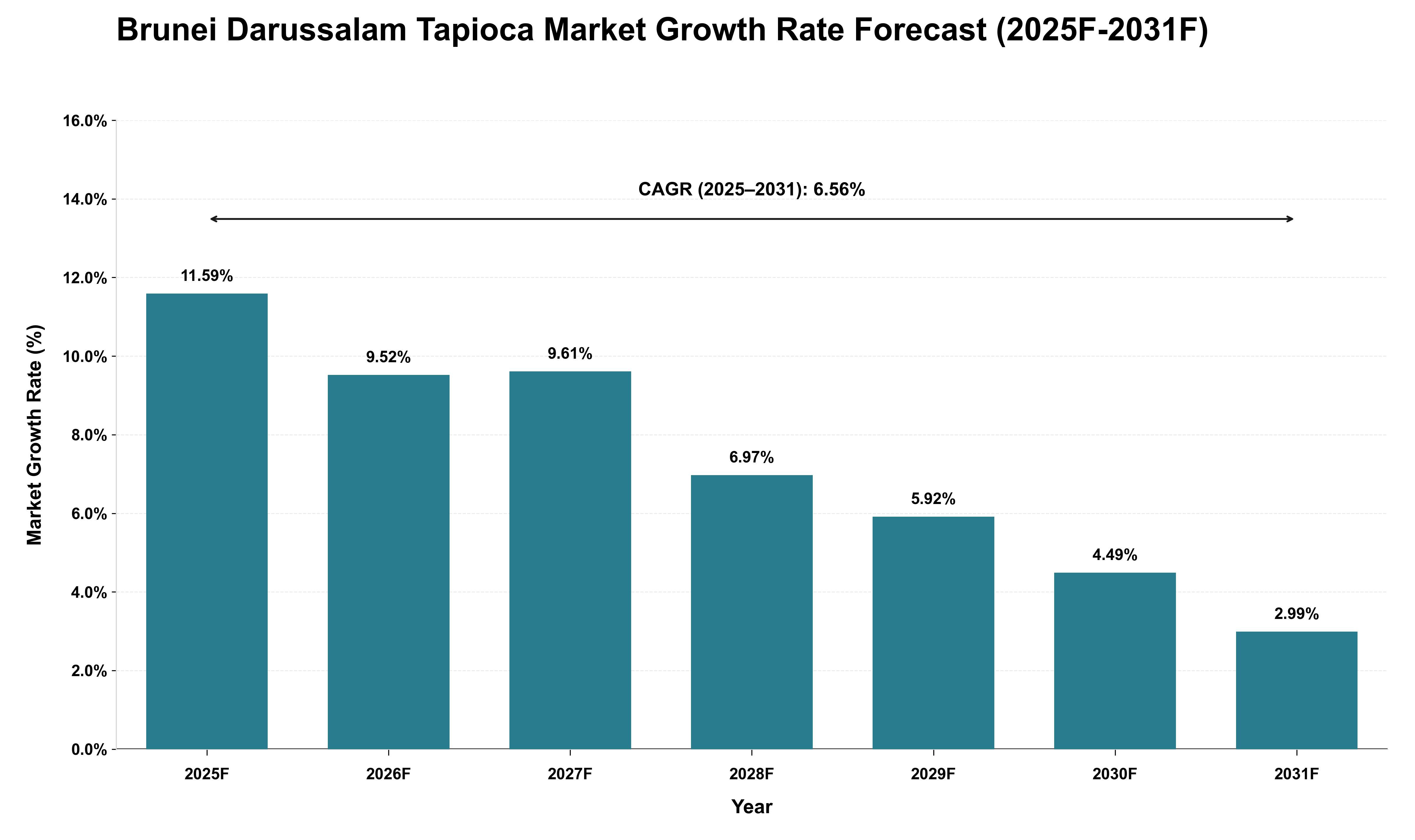 Brunei Darussalam Tapioca Market Growth Rate Analysis (2025 - 2031)