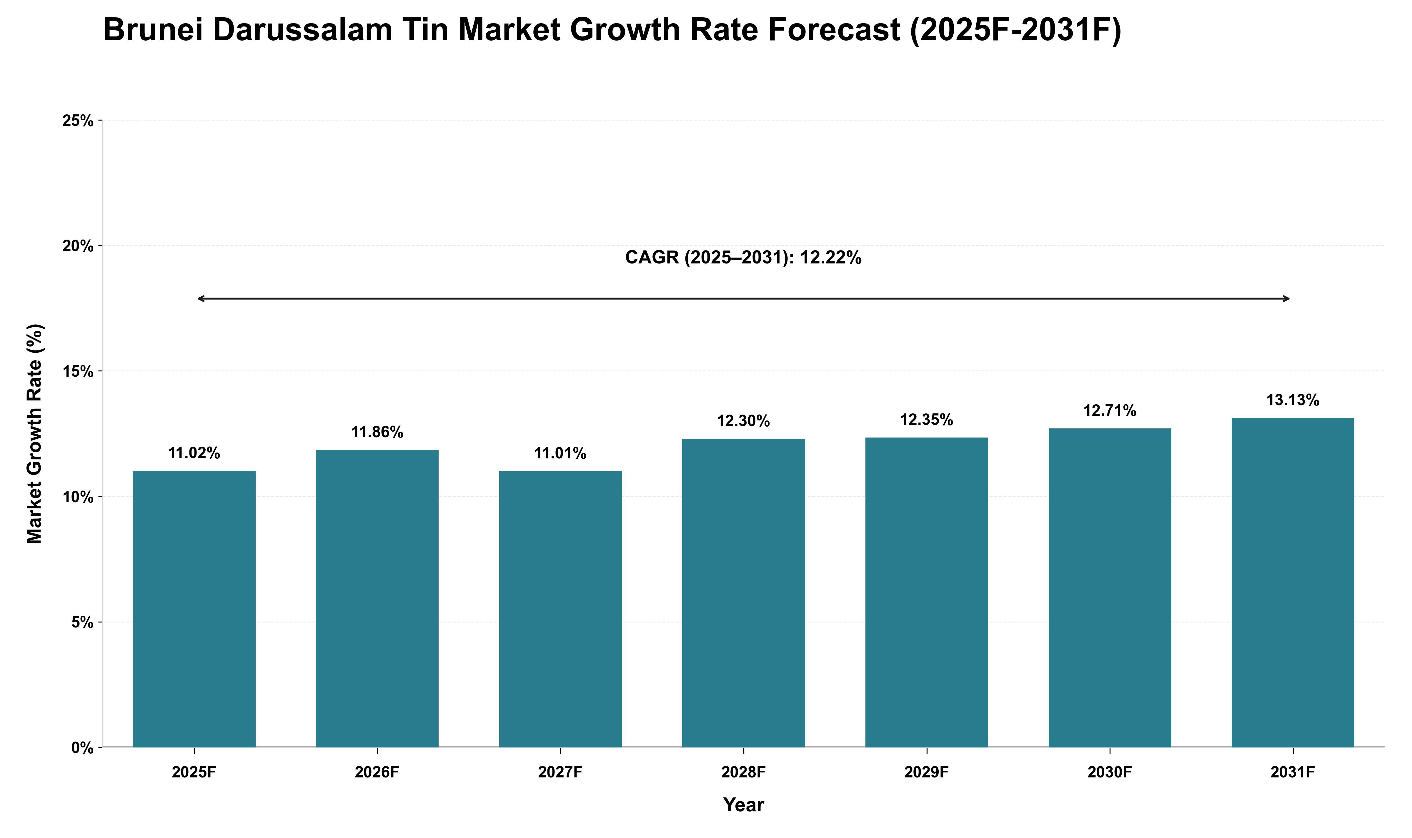 Brunei Darussalam Tin Market Growth Rate Analysis (2025 - 2031)