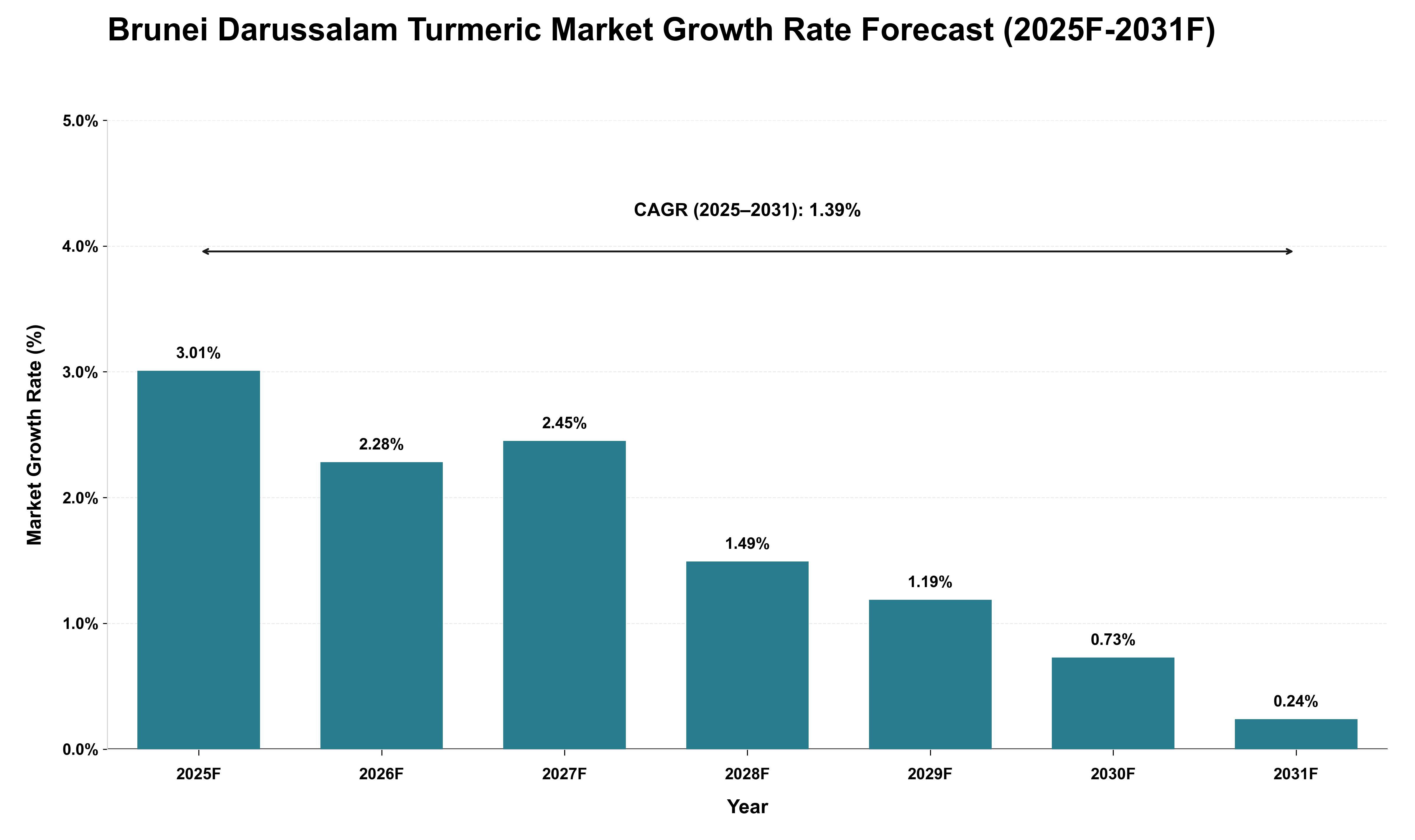 Brunei Darussalam Turmeric Market Growth Rate Analysis (2025 - 2031)