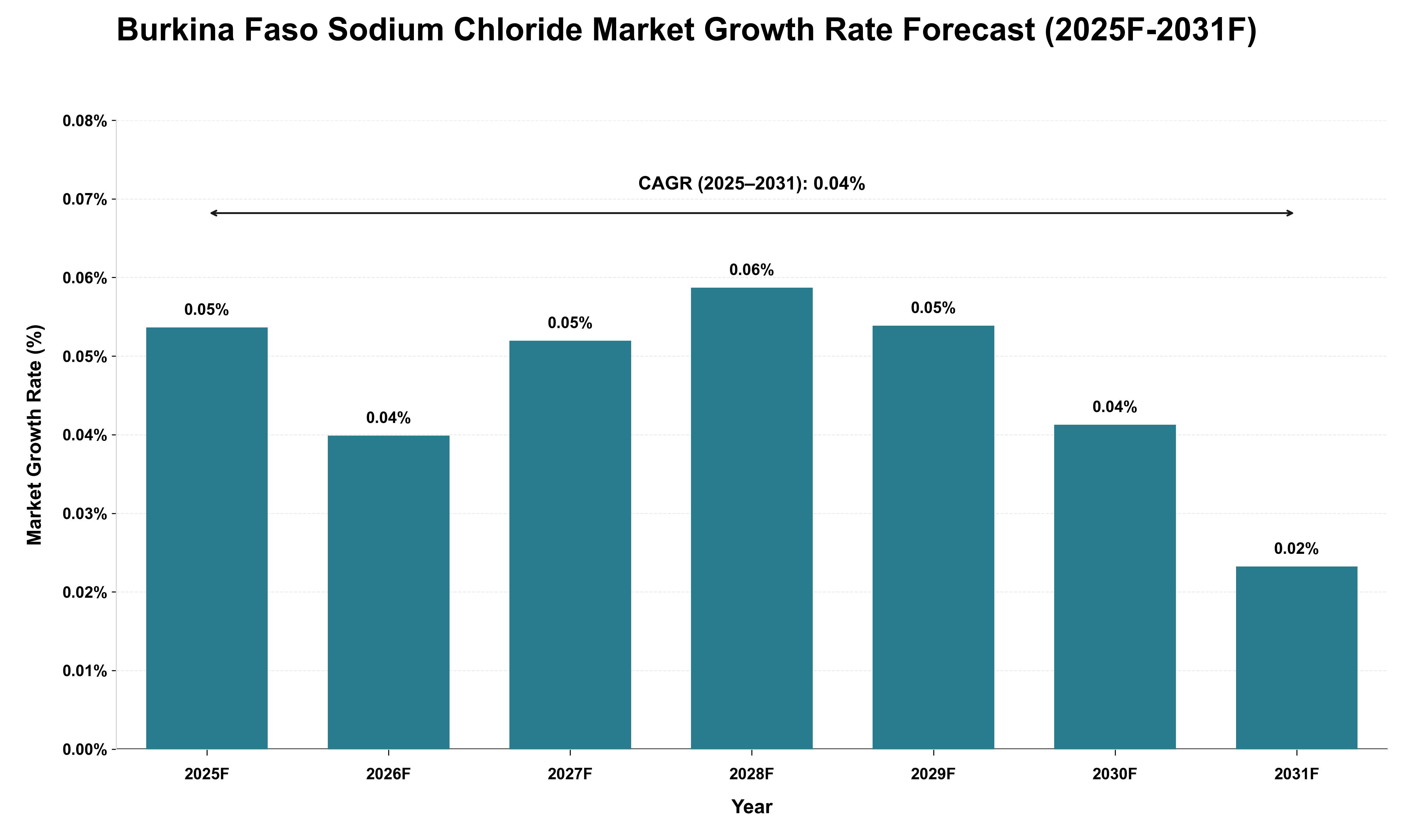 Burkina Faso Sodium Chloride Market Growth Rate Analysis (2025 - 2031)