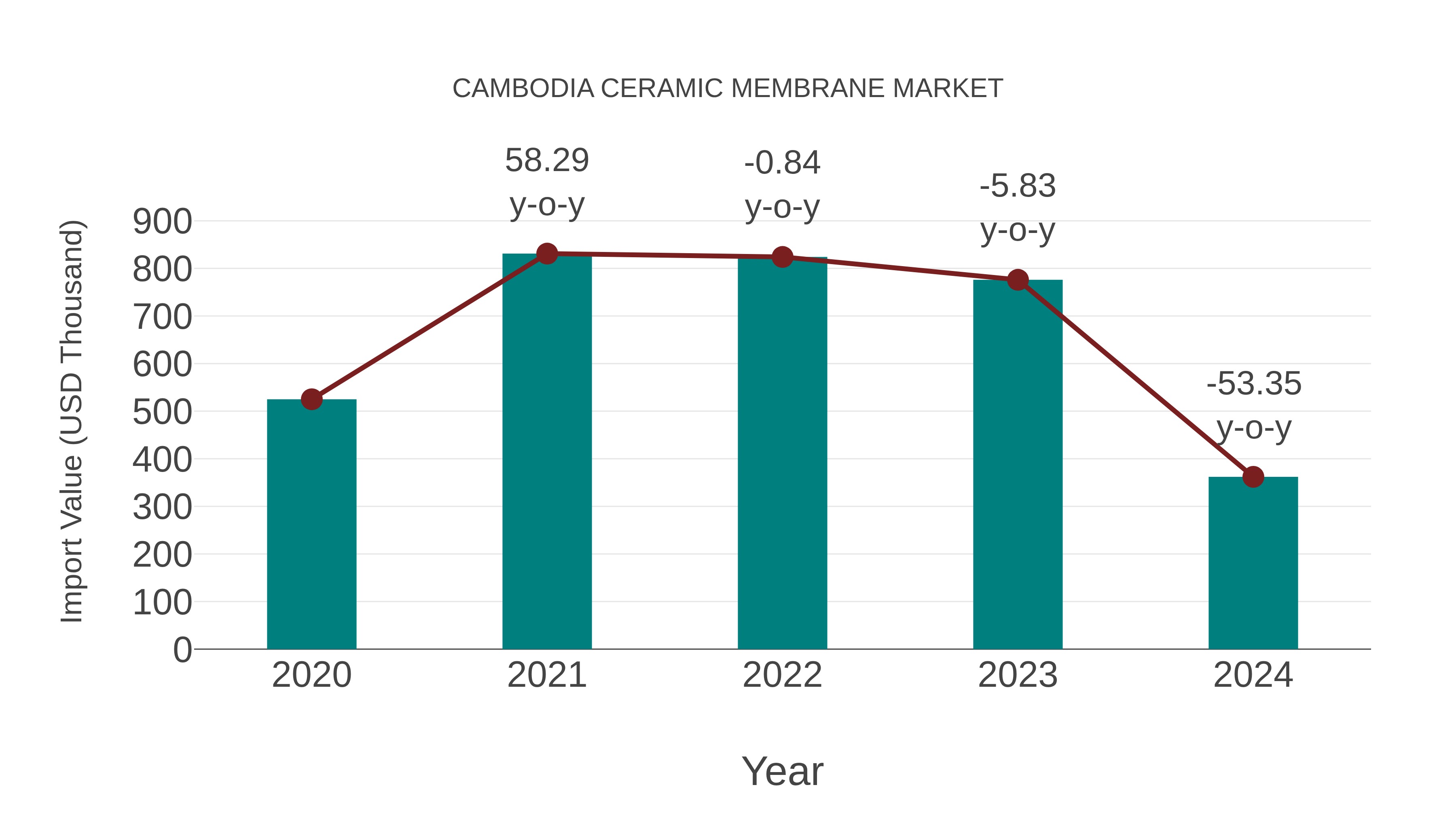  Cambodia Ceramic Membrane Market: Import Trend Analysis