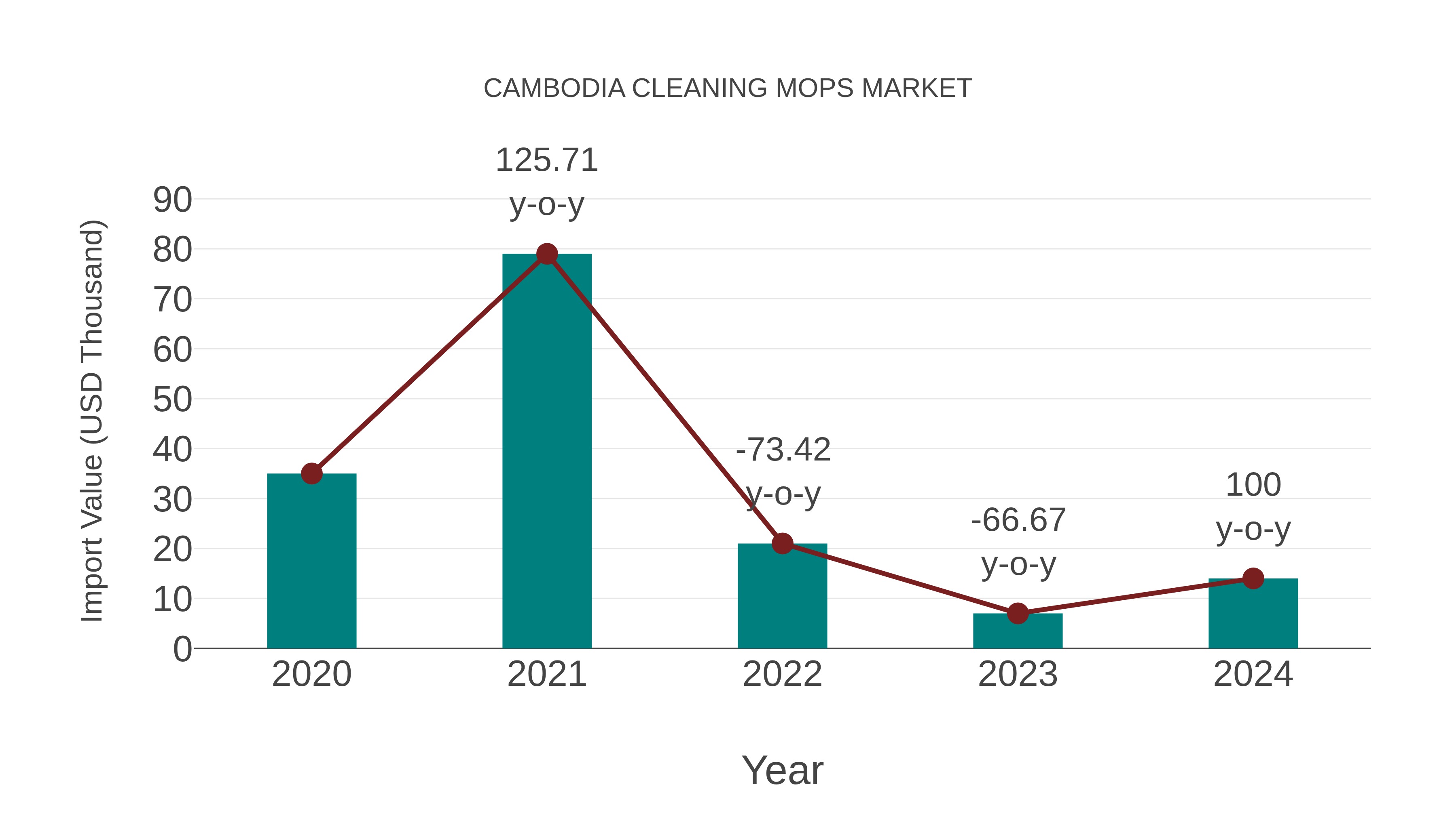  Cambodia Cleaning Mops Market: Import Trend Analysis