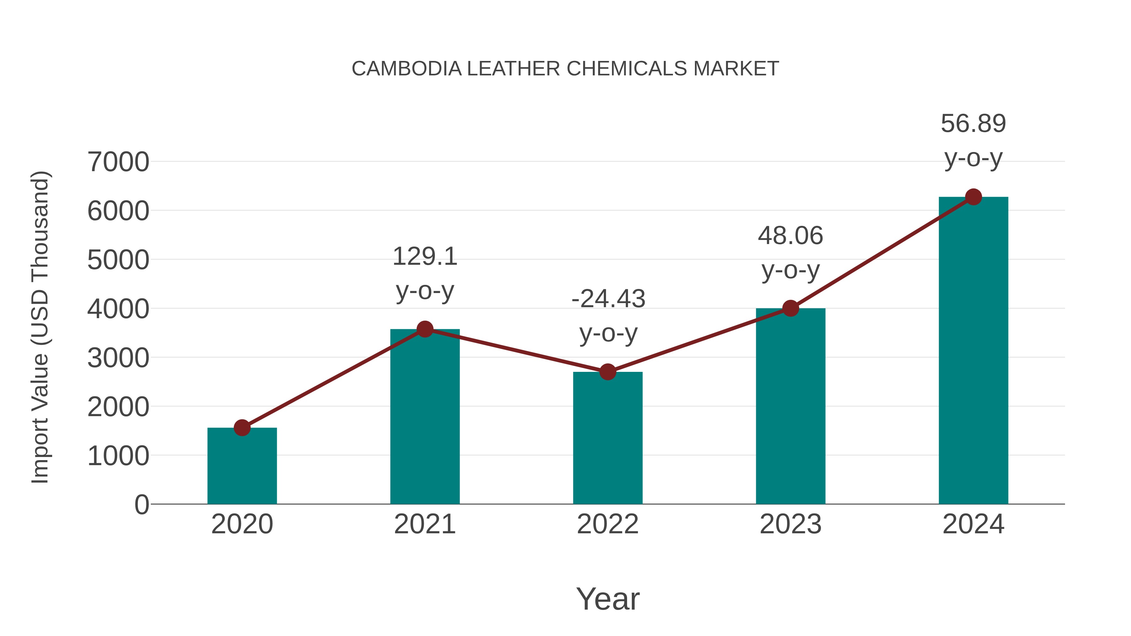  Cambodia Leather Chemicals Market: Import Trend Analysis