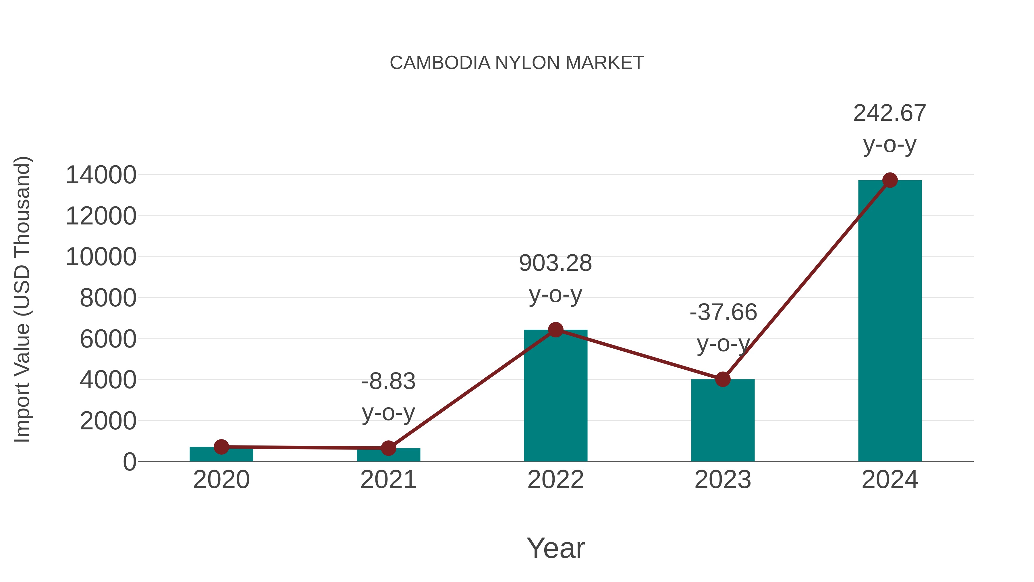  Cambodia Nylon Market: Import Trend Analysis