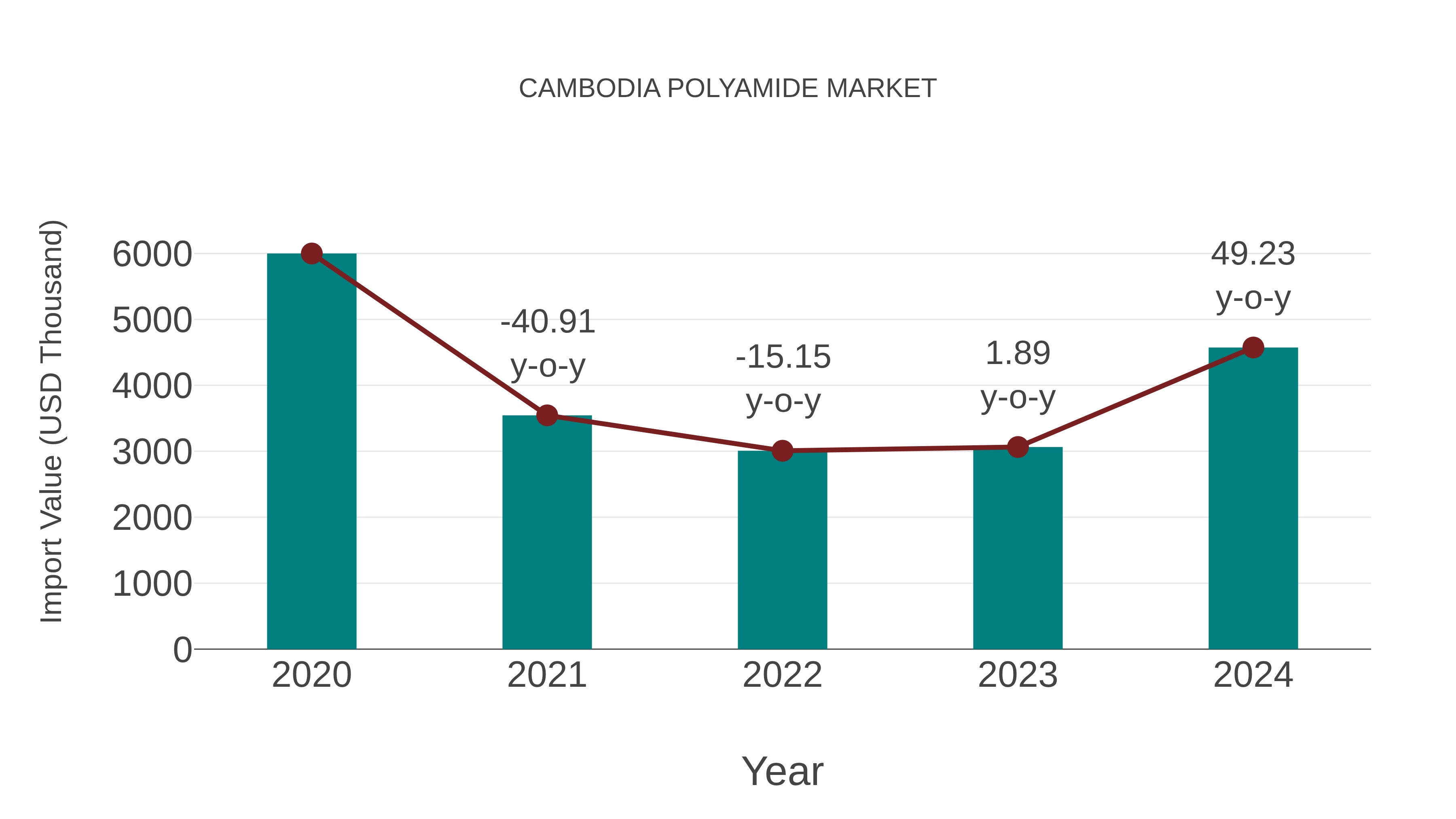  Cambodia Polyamide Market: Import Trend Analysis