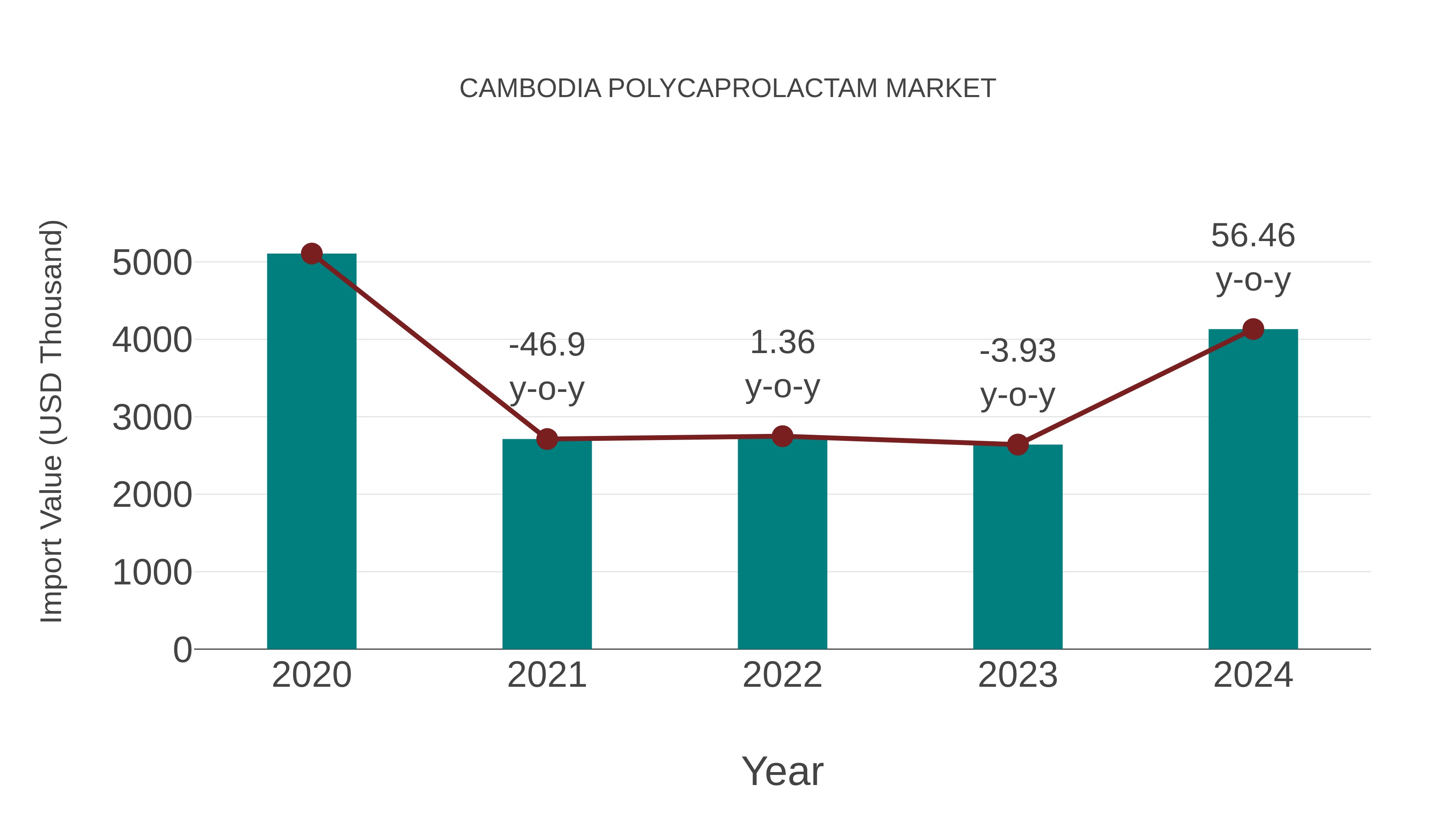  Cambodia Polycaprolactam Market: Import Trend Analysis