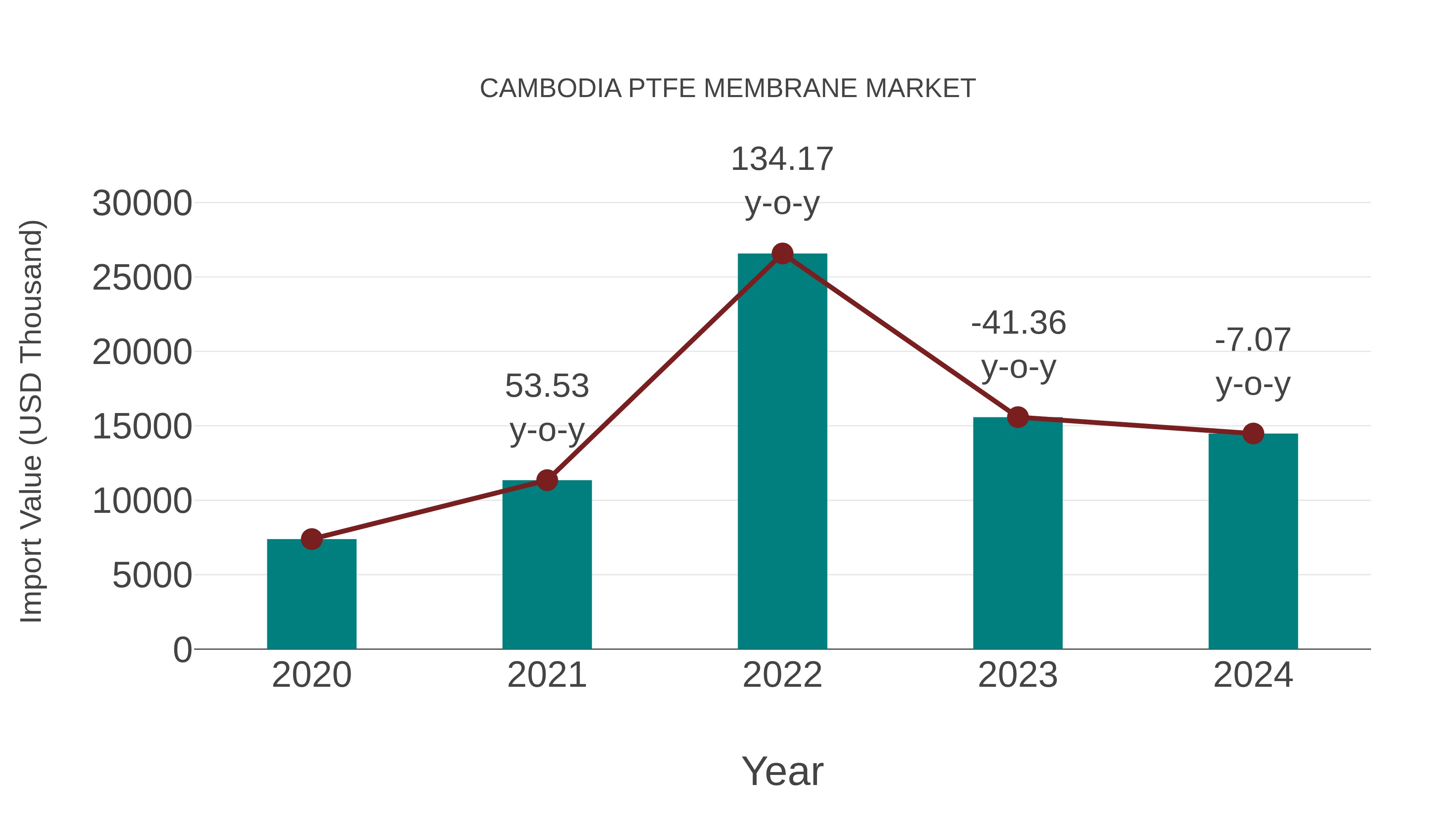  Cambodia Ptfe Membrane Market: Import Trend Analysis