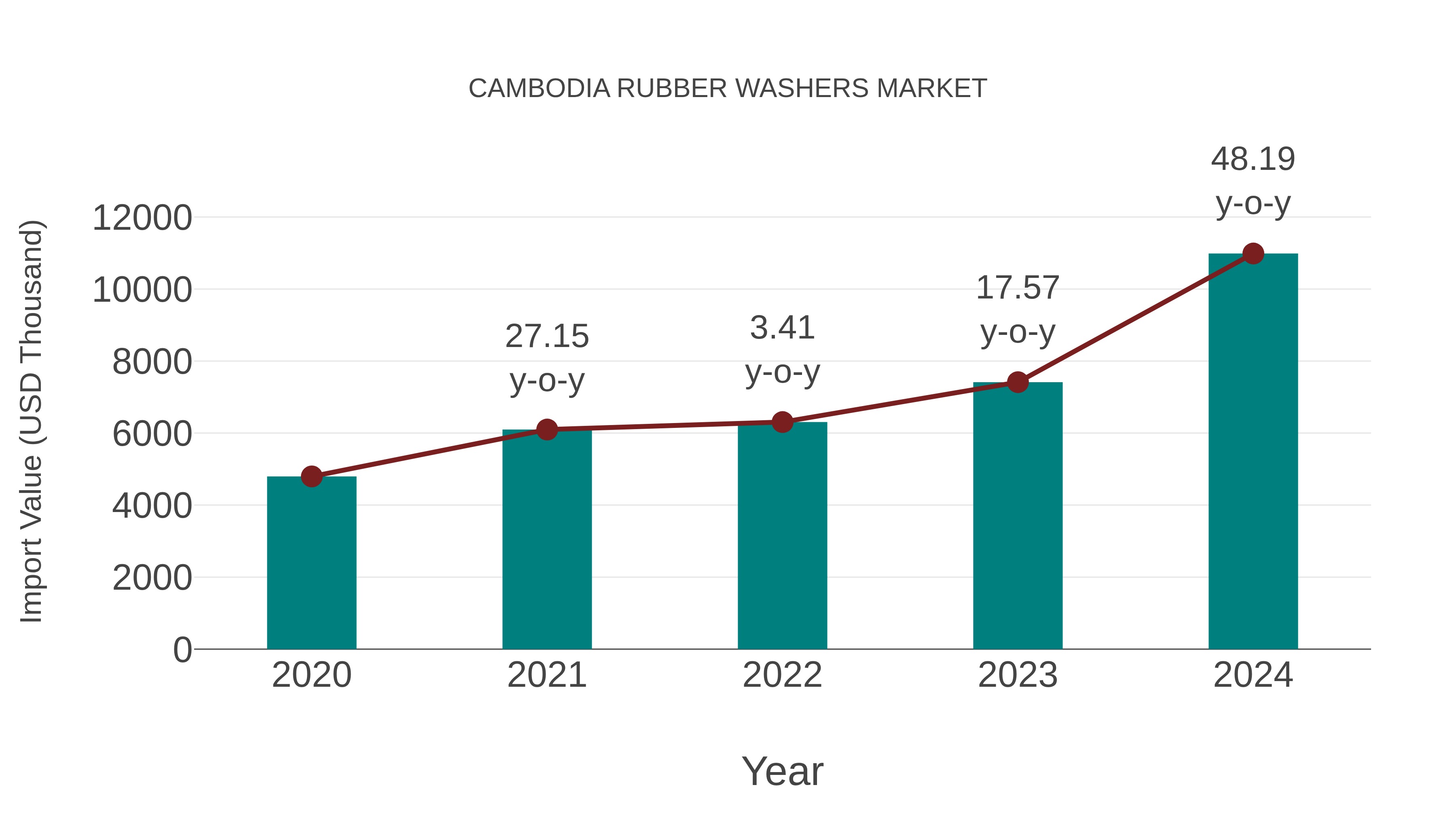  Cambodia Rubber Washers Market: Import Trend Analysis