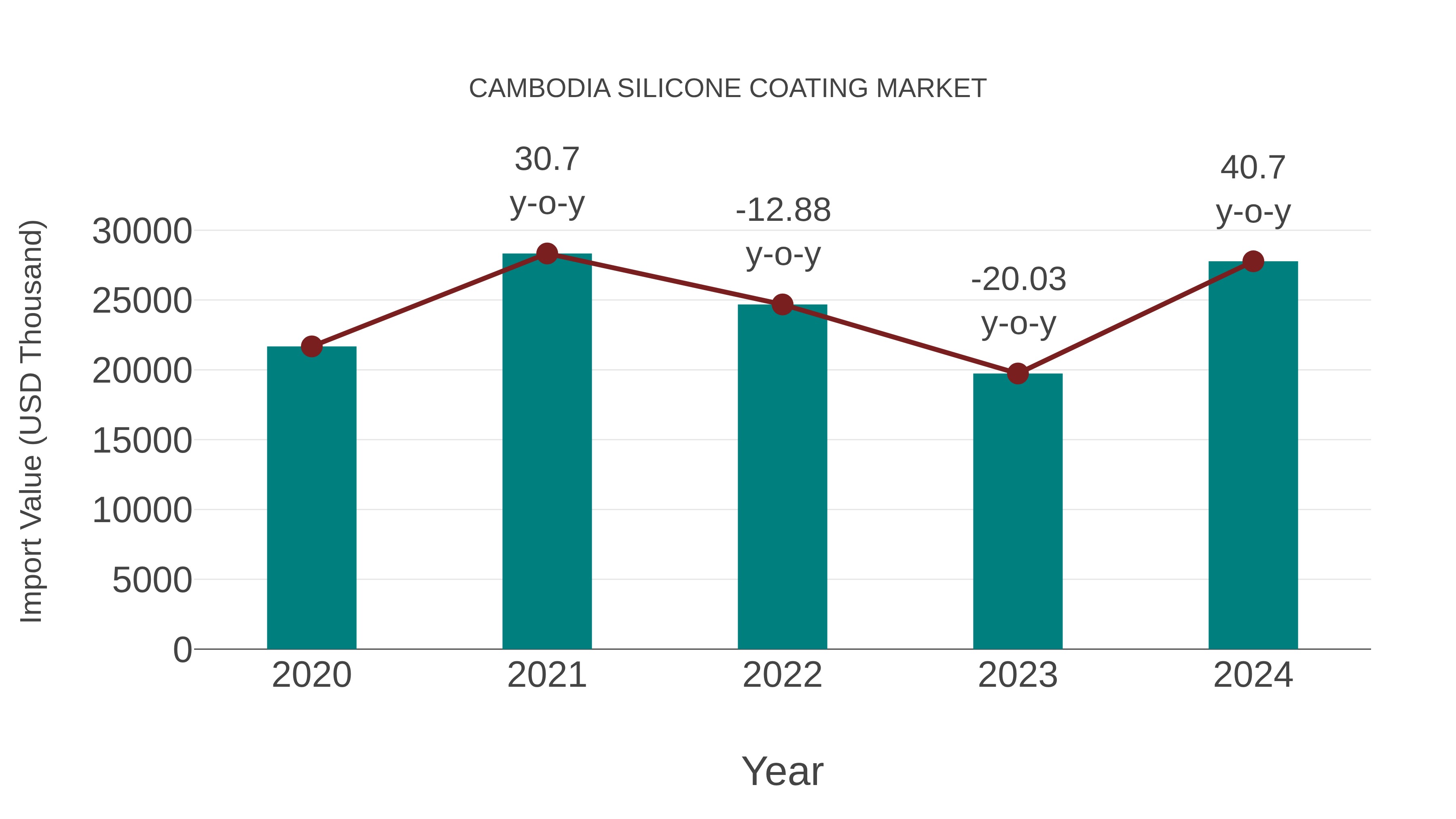  Cambodia Silicone Coating Market: Import Trend Analysis