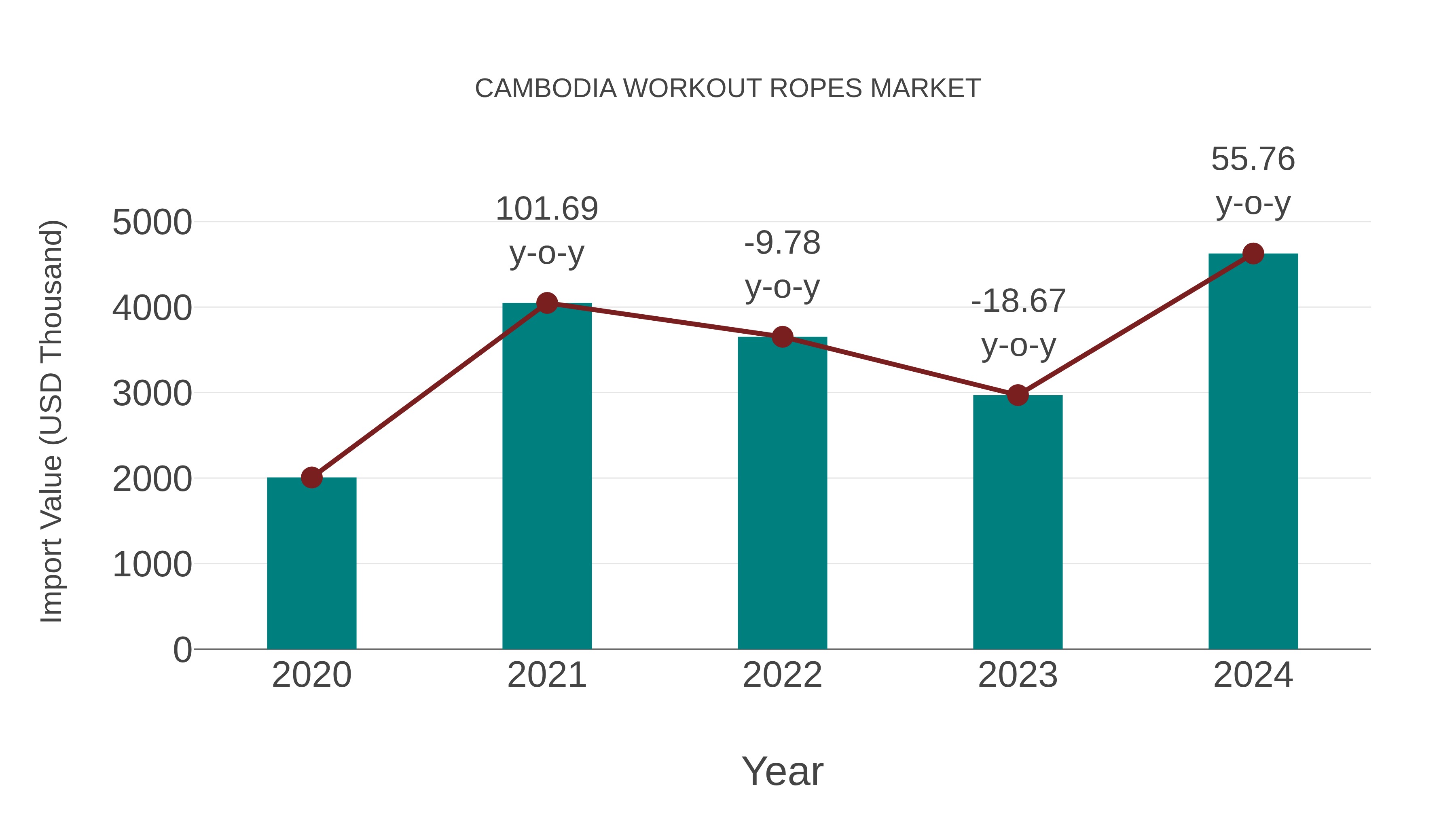  Cambodia Workout Ropes Market: Import Trend Analysis